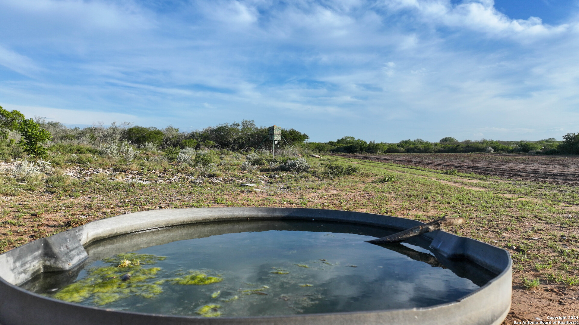303 +/- Acres | Buena Vida Ranch 