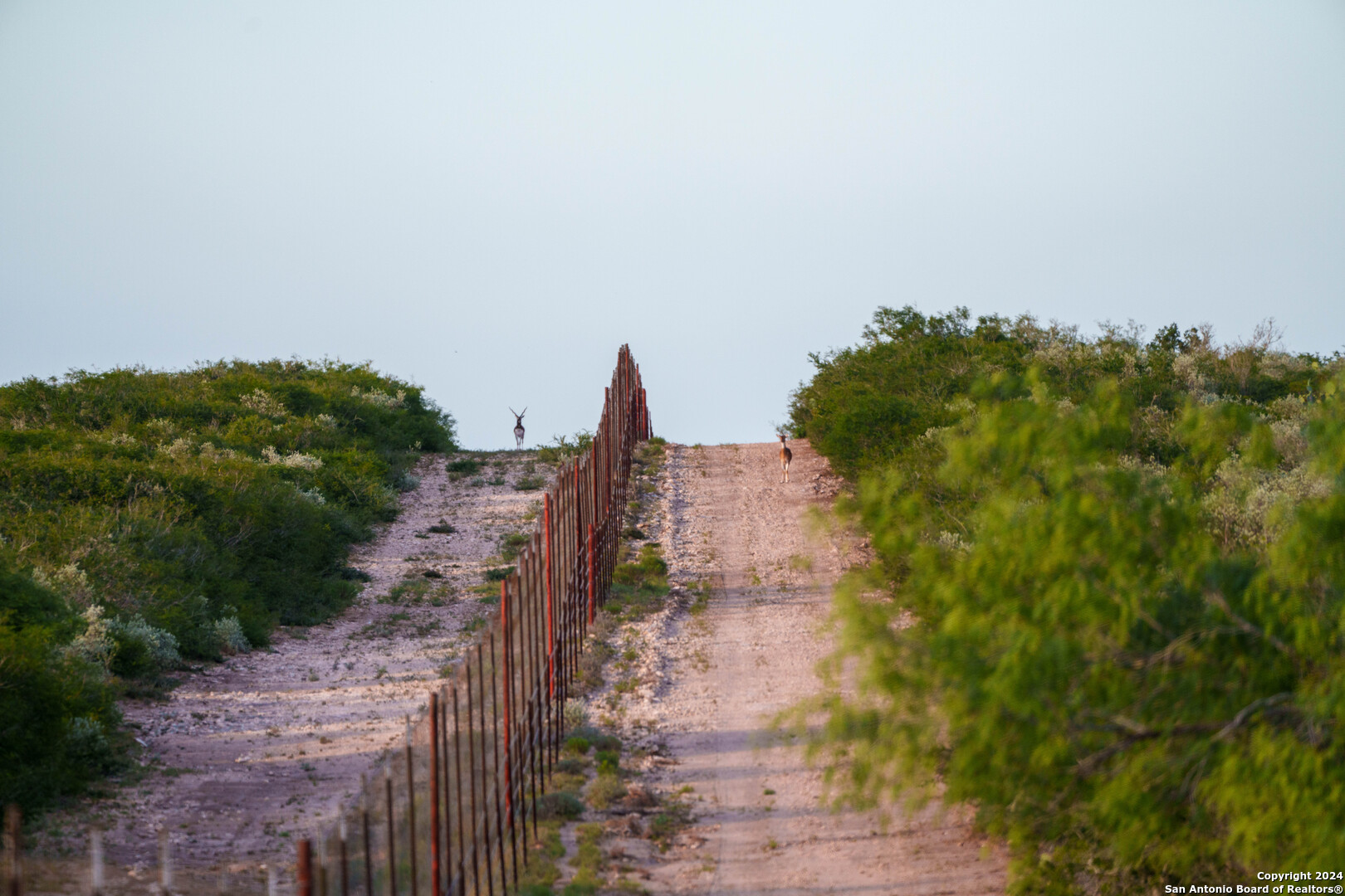 303 +/- Acres | Buena Vida Ranch 
