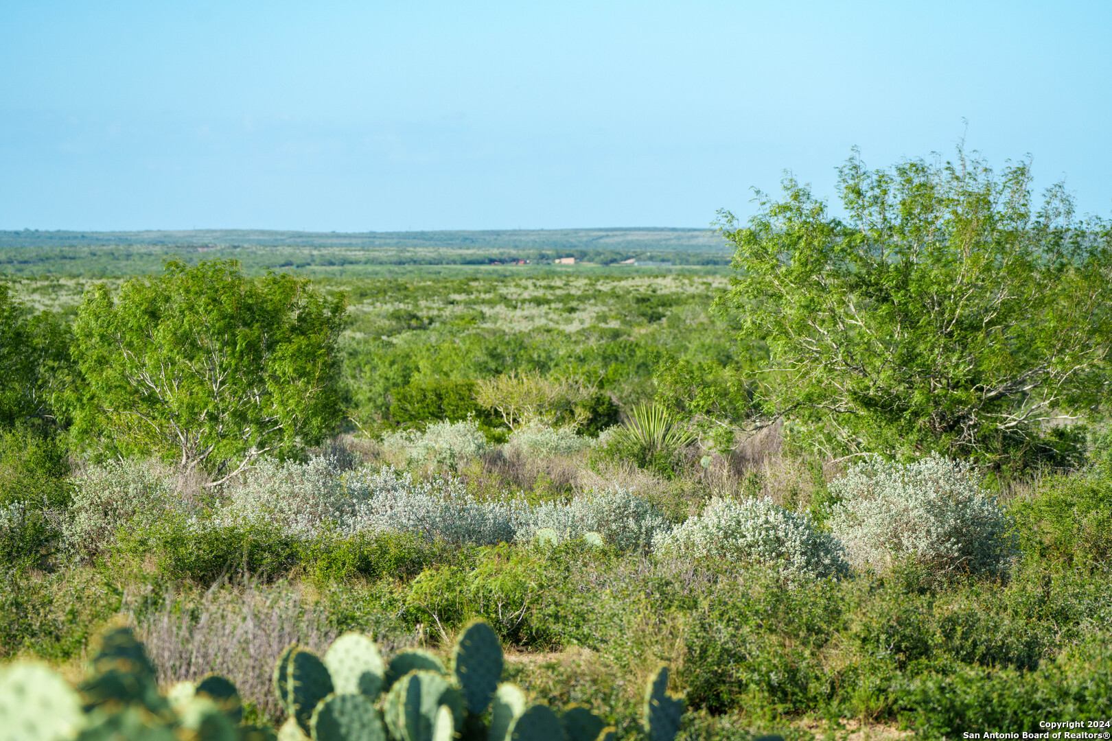 303 +/- Acres | Buena Vida Ranch 