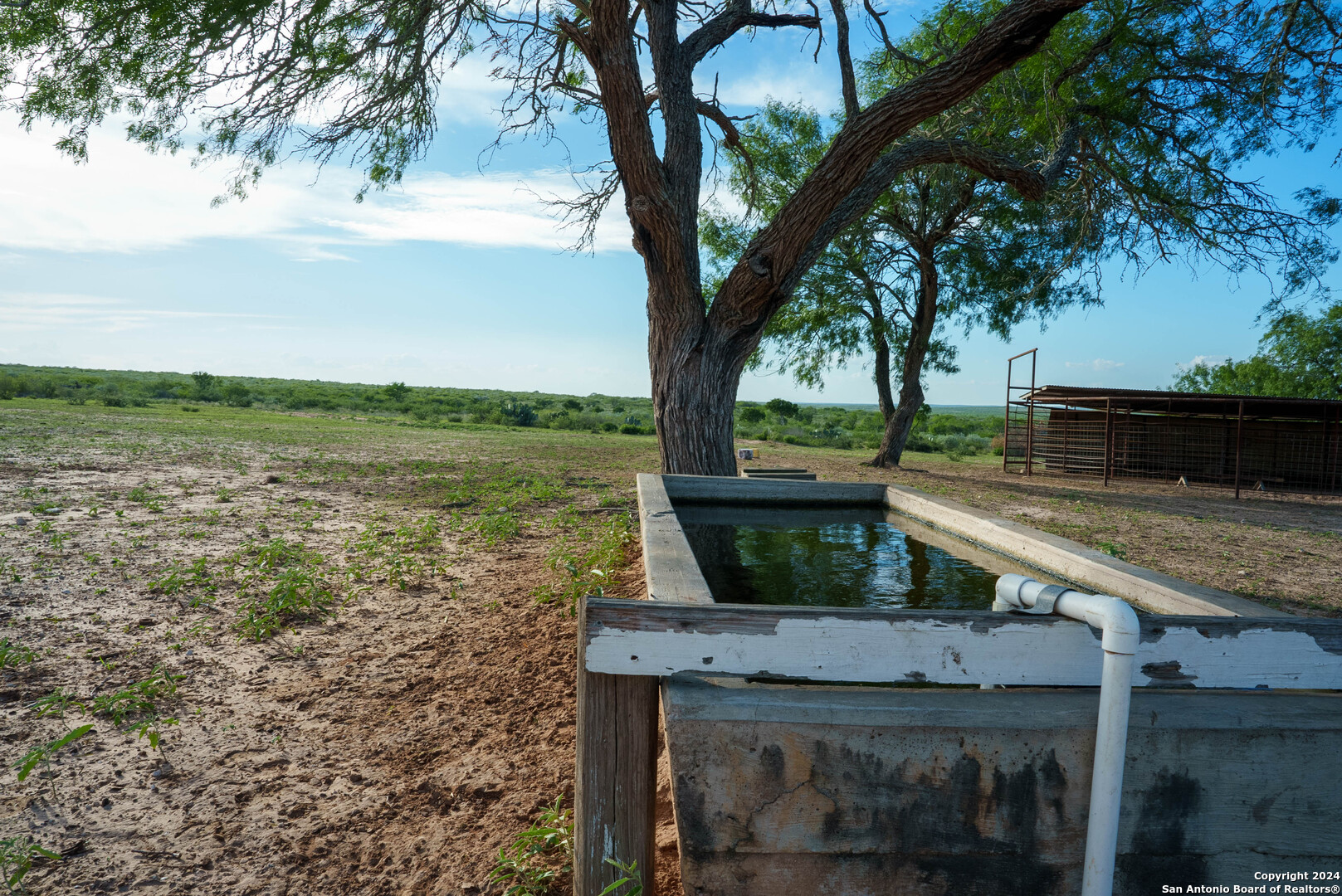 303 +/- Acres | Buena Vida Ranch 