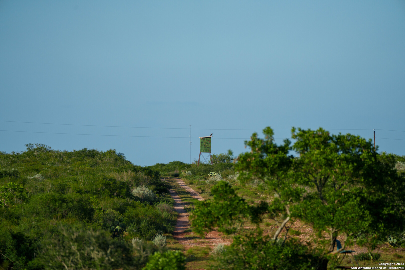 303 +/- Acres | Buena Vida Ranch 