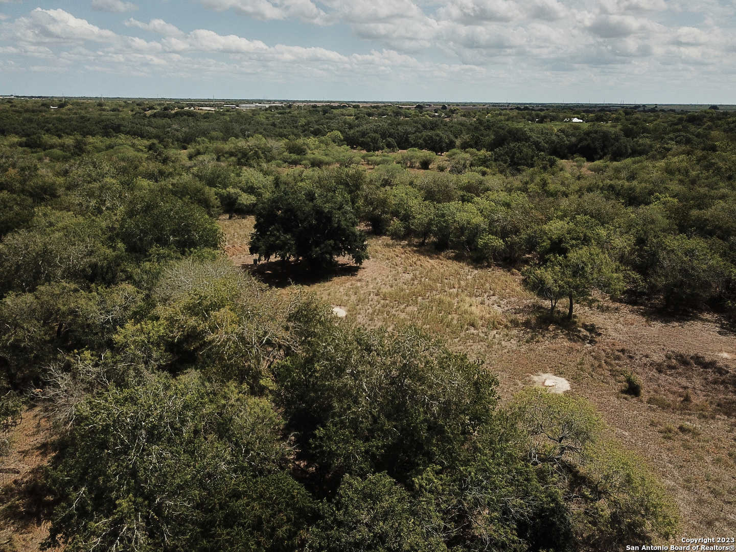 42 +/-Acres in Bee County, Beeville