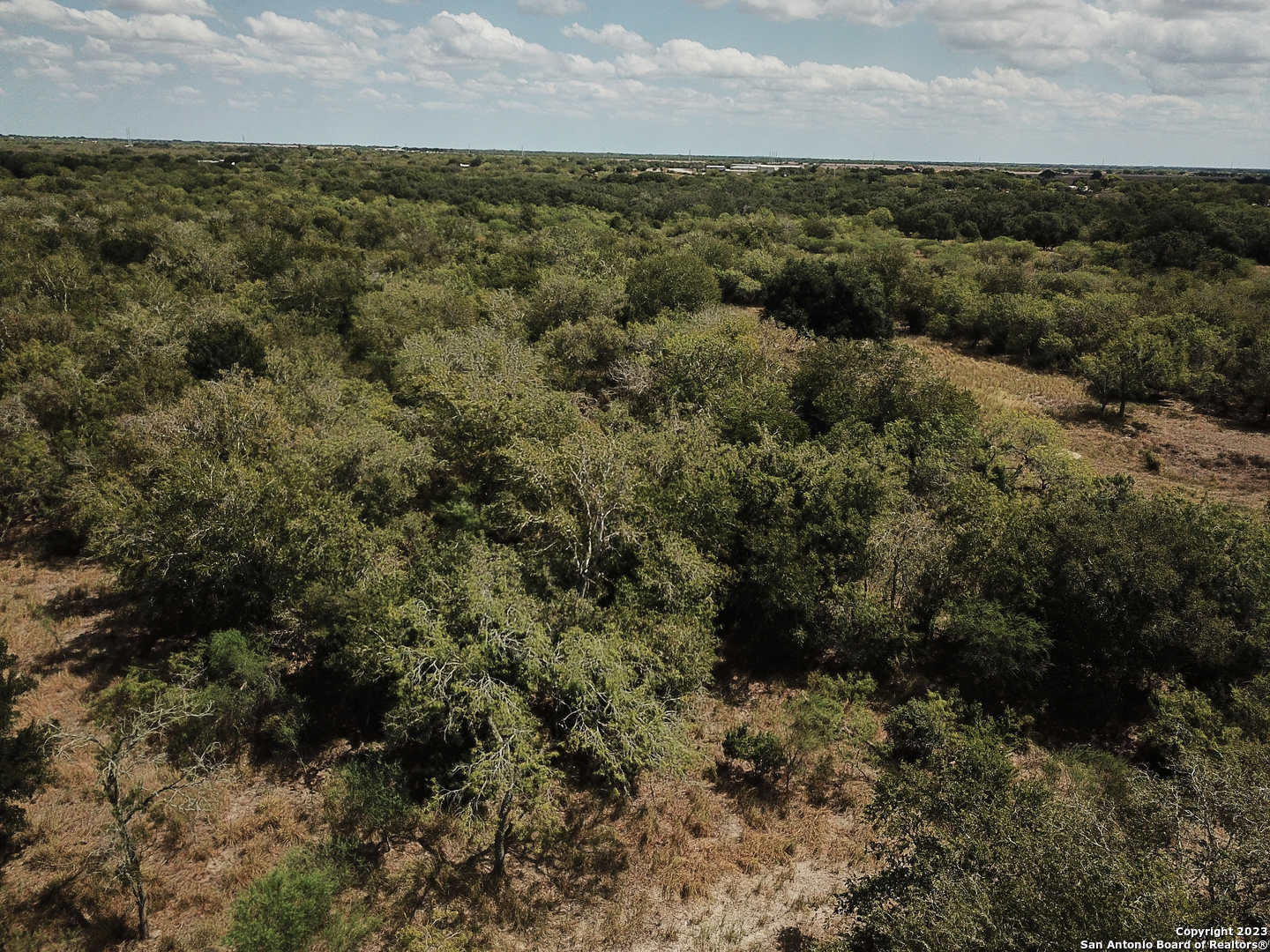 42 +/-Acres in Bee County, Beeville
