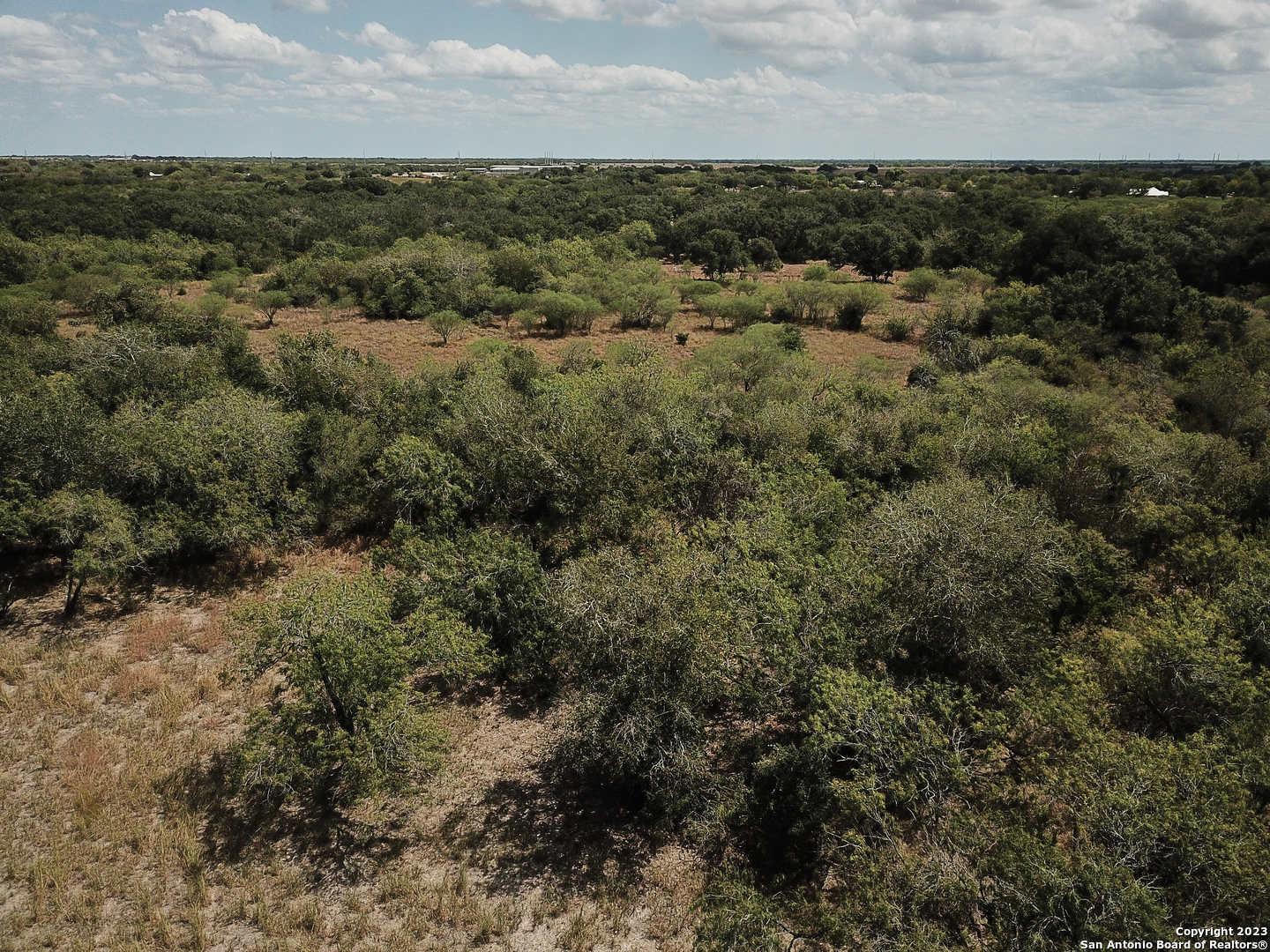 42 +/-Acres in Bee County, Beeville