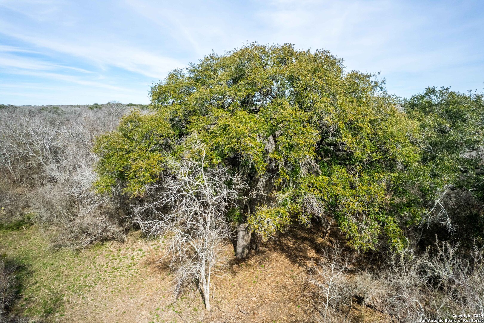 12.19 +/- Acres in Bee County