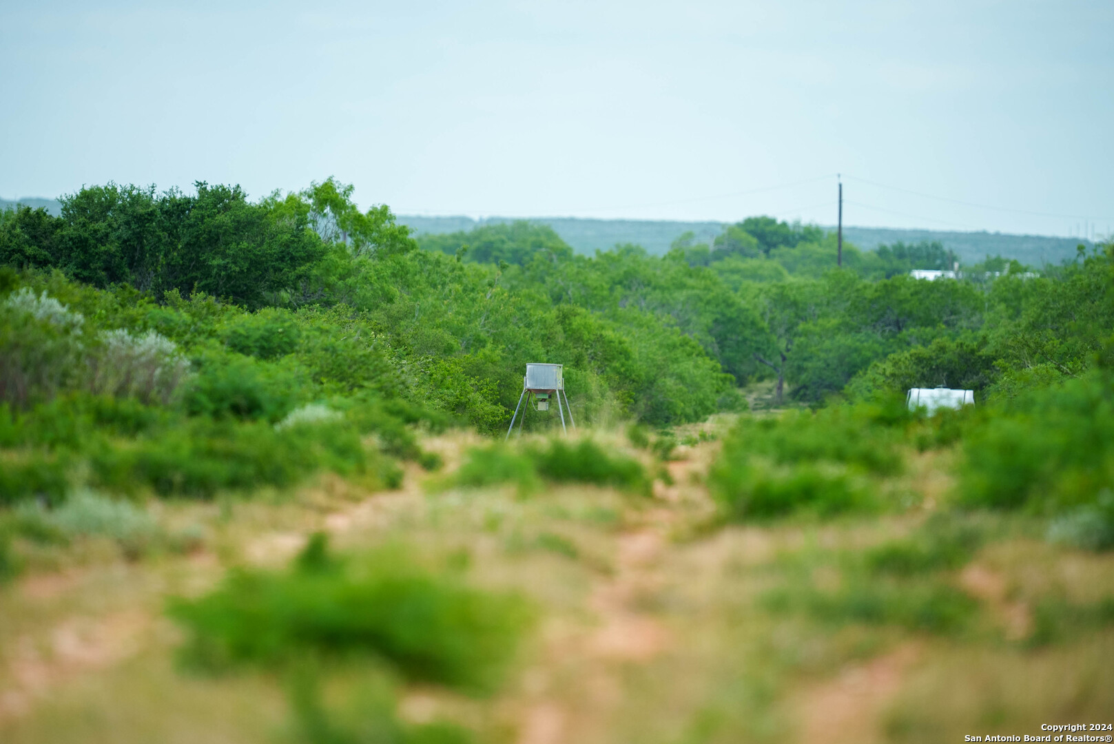 50 +/- Acres | Narciseno Creek Ranch 