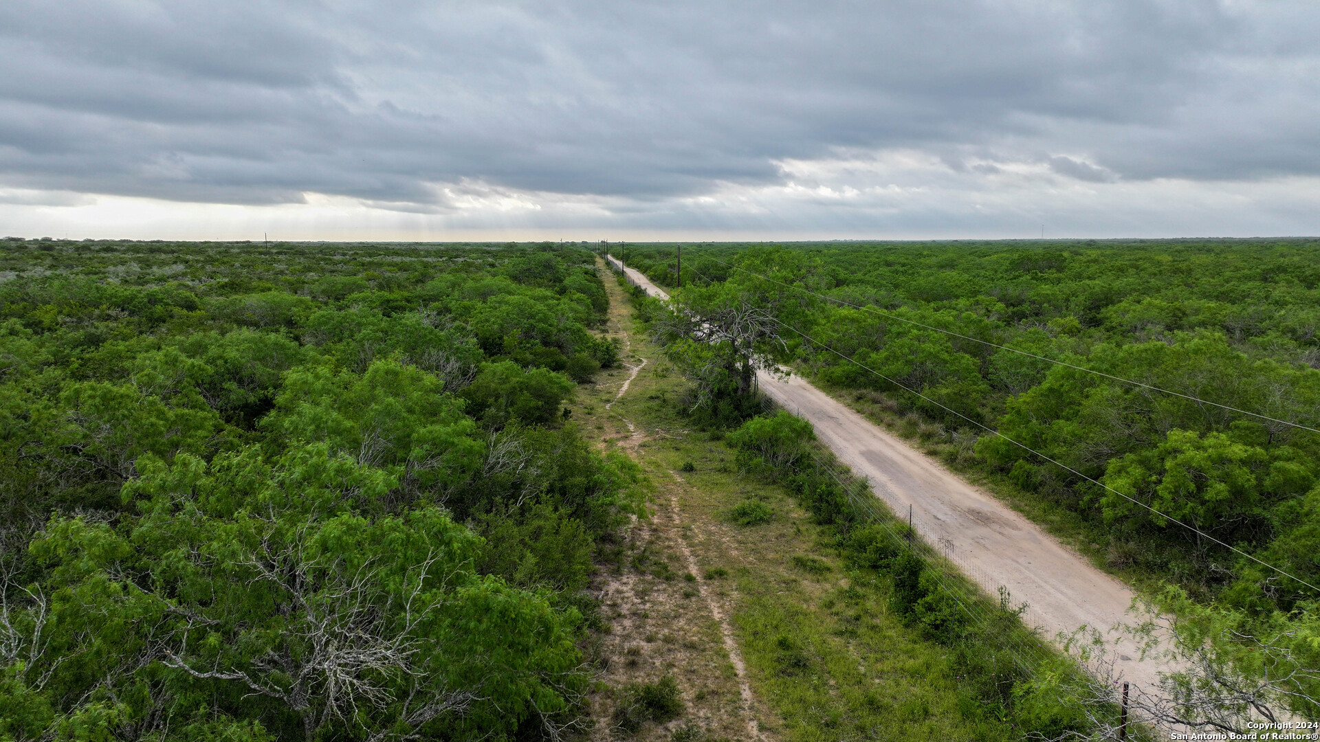 50 +/- Acres | Narciseno Creek Ranch 