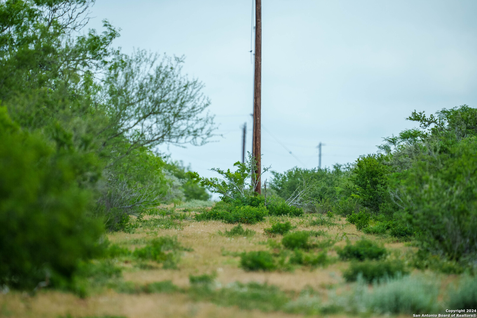 50 +/- Acres | Narciseno Creek Ranch 