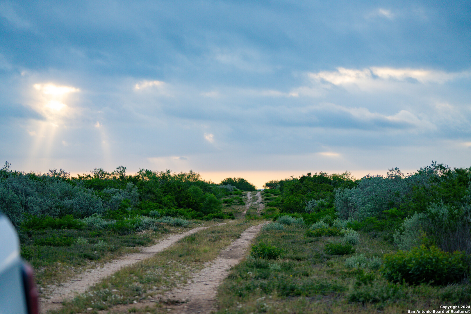 50 +/- Acres | Narciseno Creek Ranch 