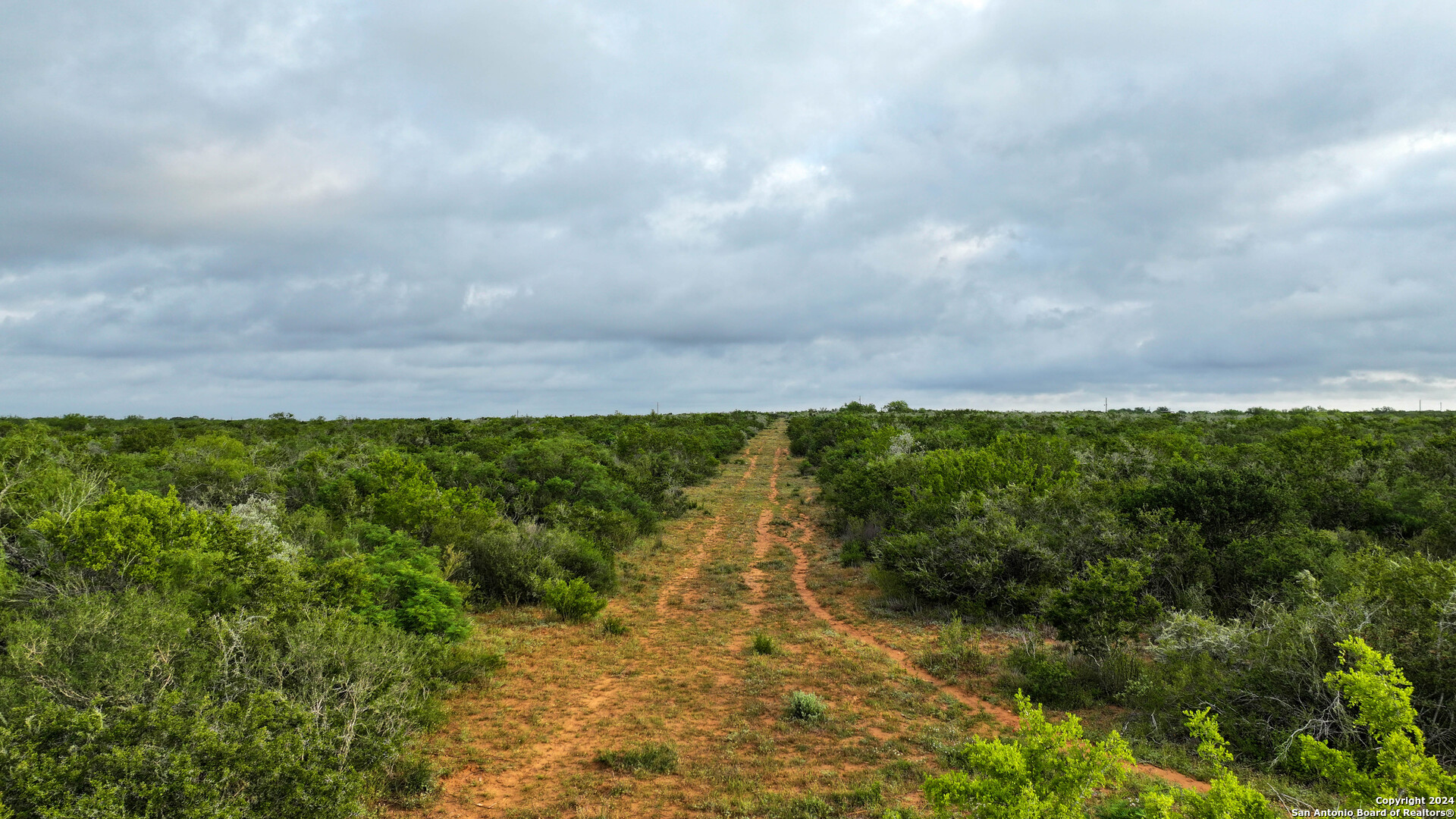 50 +/- Acres | Narciseno Creek Ranch 