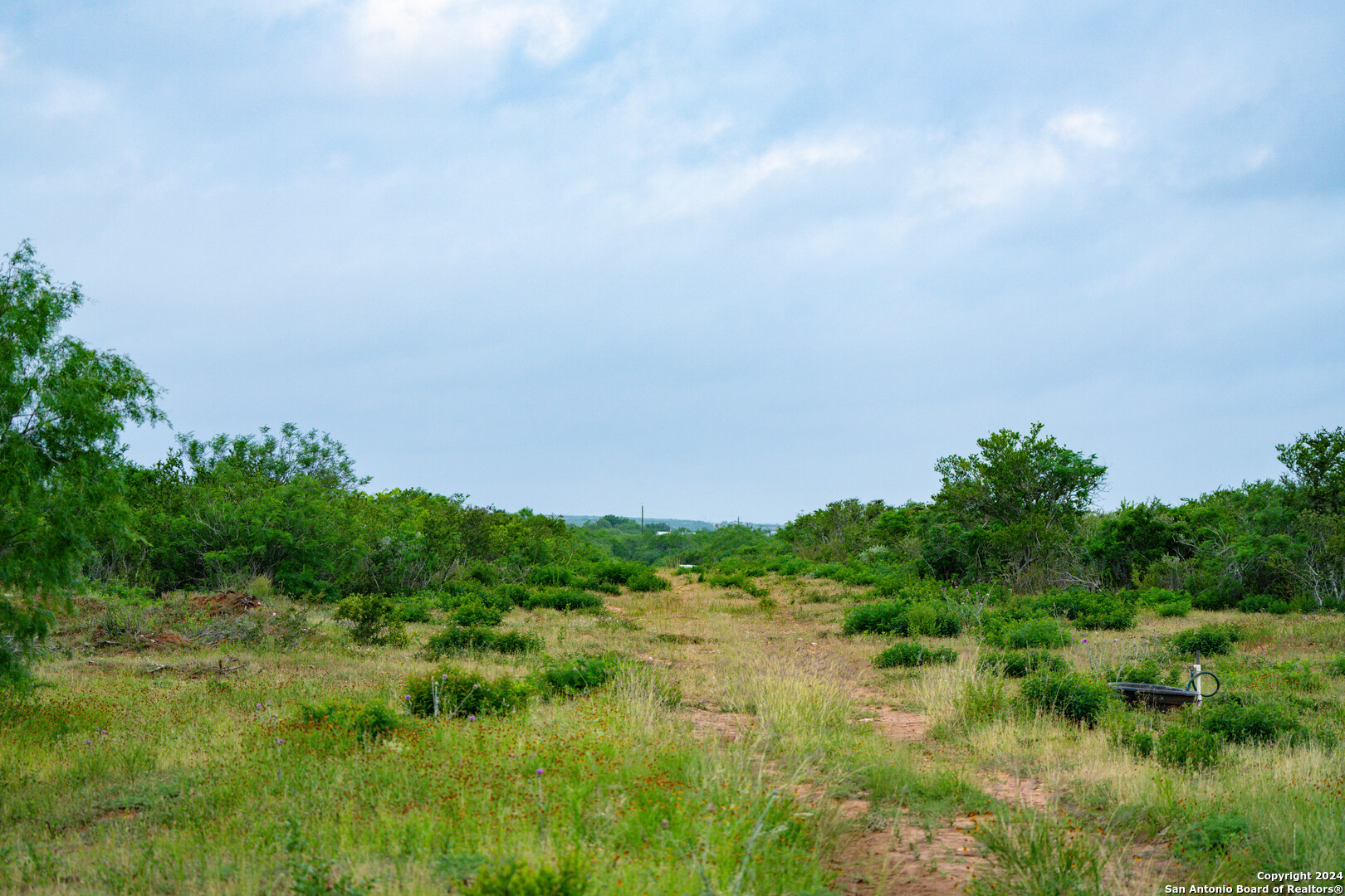 50 +/- Acres | Narciseno Creek Ranch 