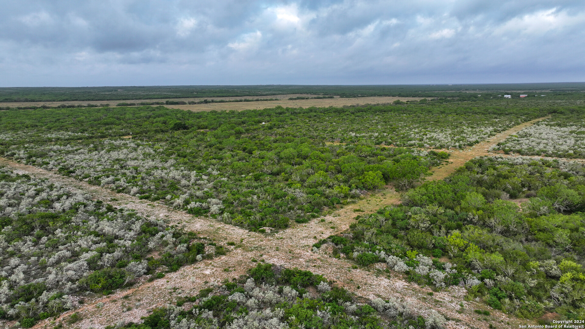 50 +/- Acres | Narciseno Creek Ranch 