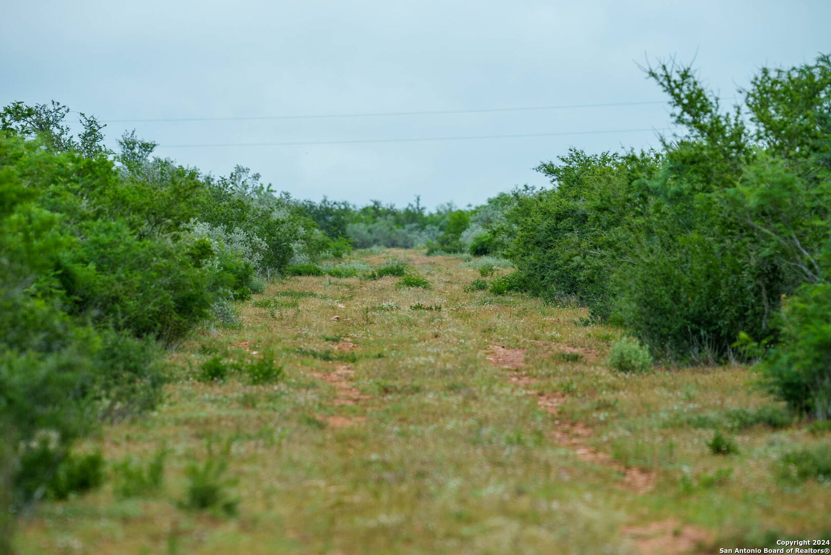 50 +/- Acres | Narciseno Creek Ranch 