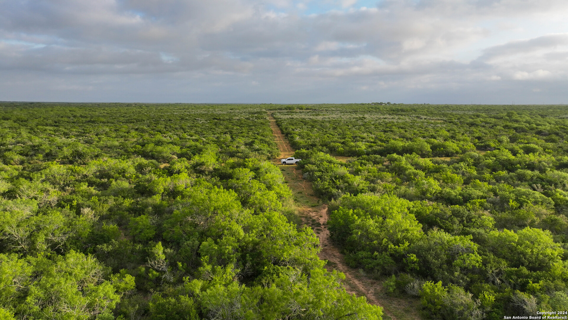 50 +/- Acres | Narciseno Creek Ranch 