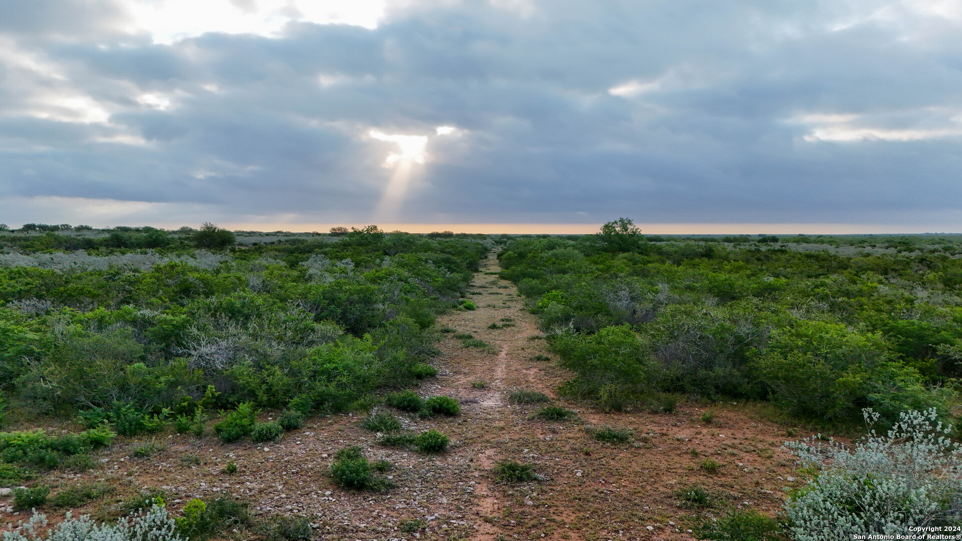 50 +/- Acres | Narciseno Creek Ranch 