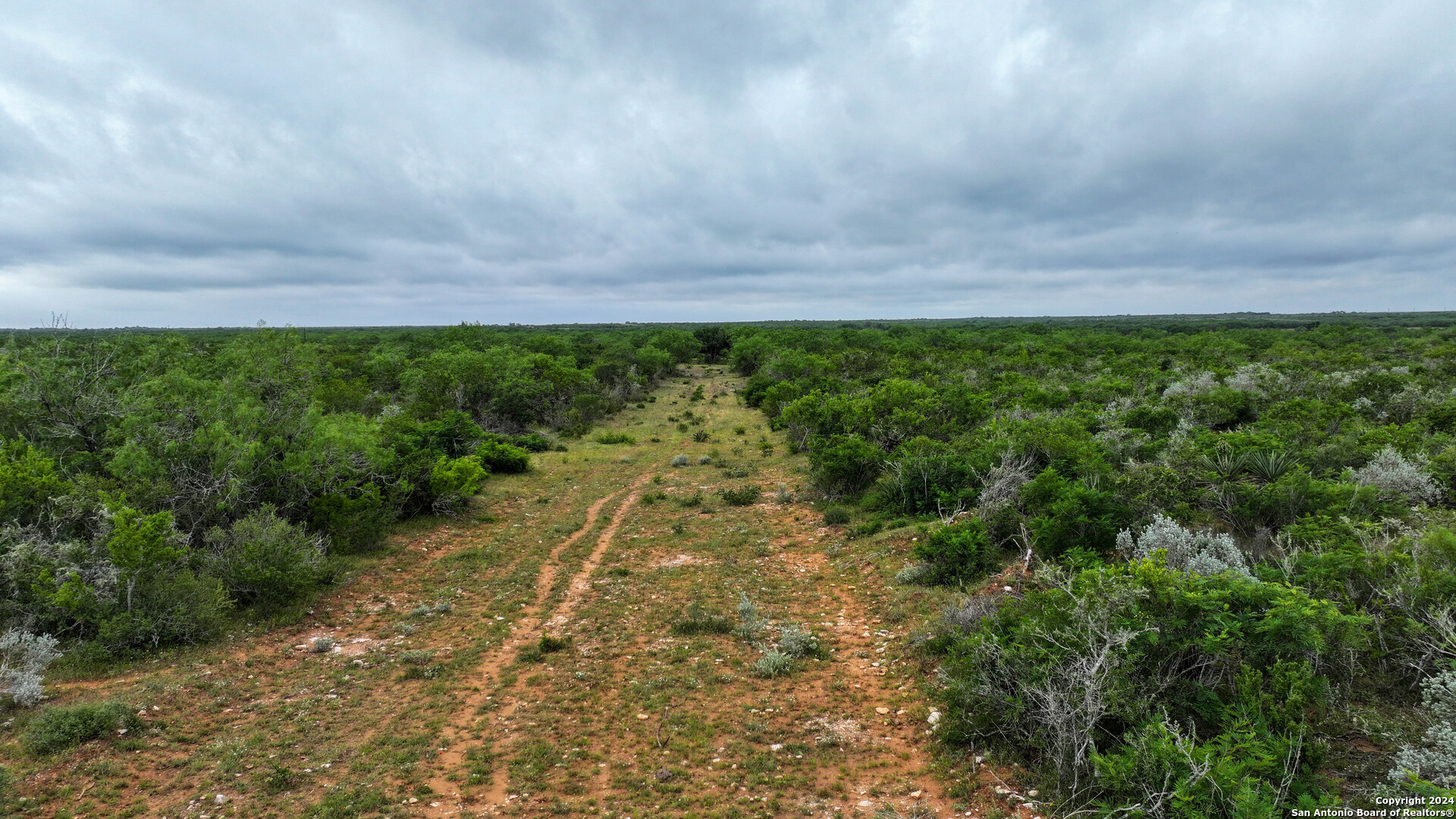 50 +/- Acres | Narciseno Creek Ranch 