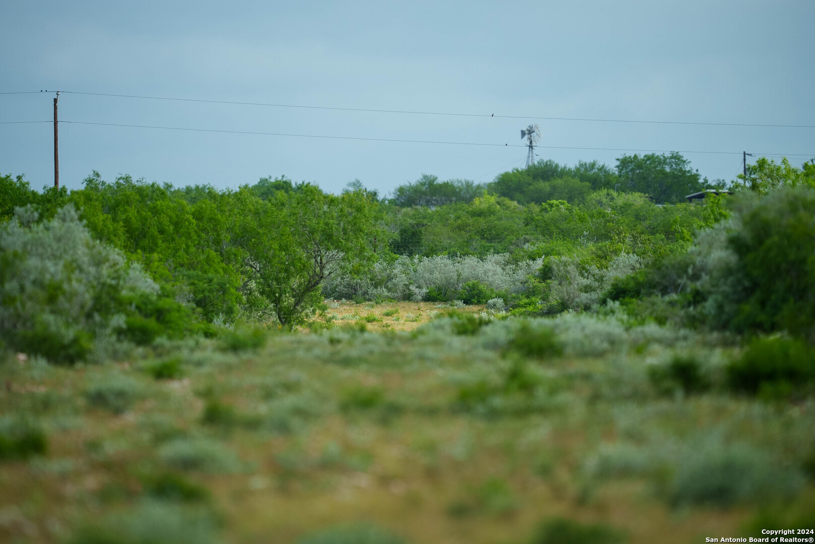 50 +/- Acres | Narciseno Creek Ranch 