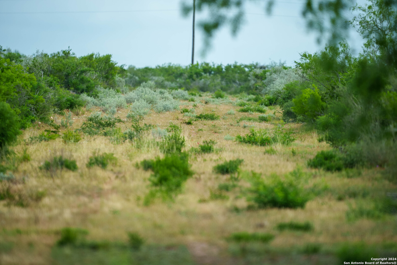 50 +/- Acres | Narciseno Creek Ranch 