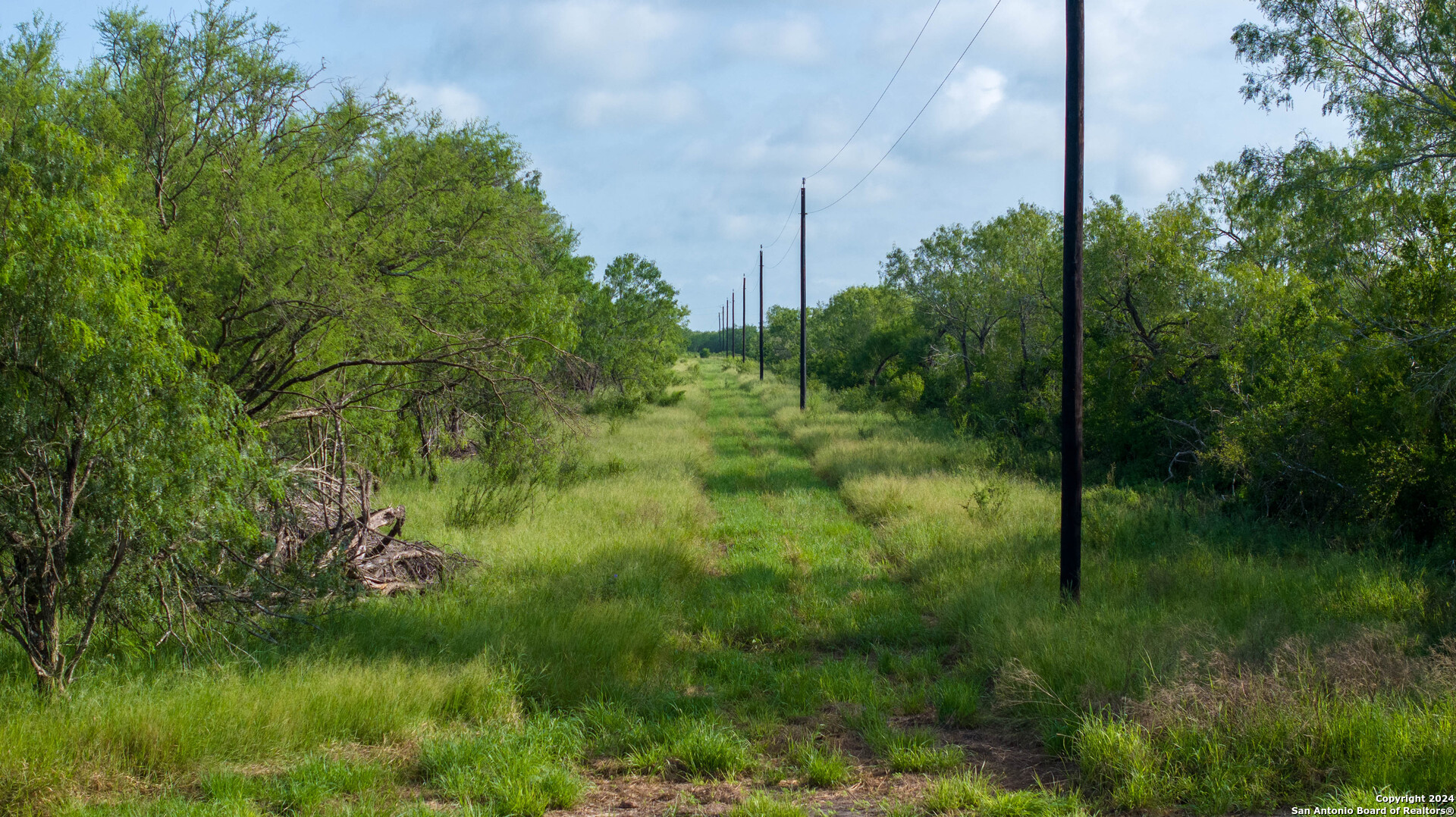 000 County Road 241