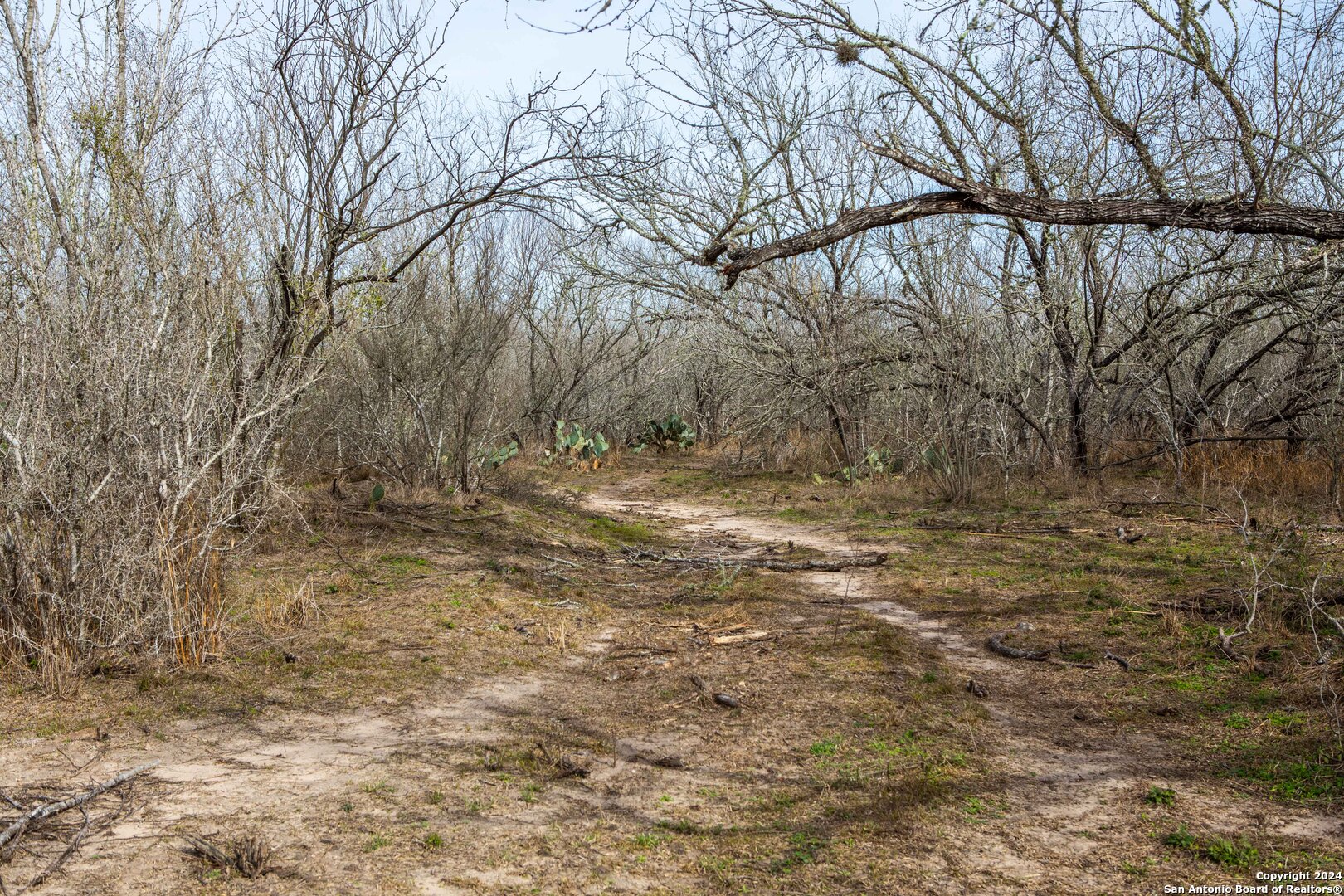 000 Mineral Cemetery Rd
