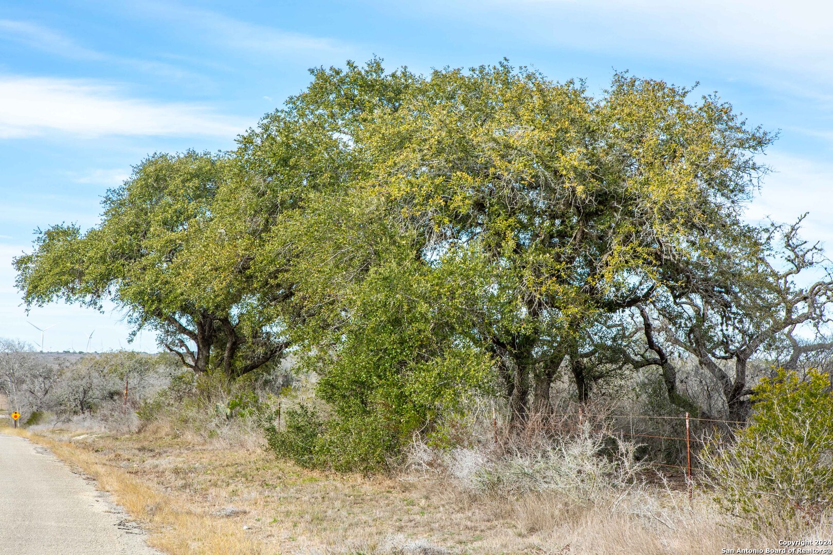 000 Mineral Cemetery Rd
