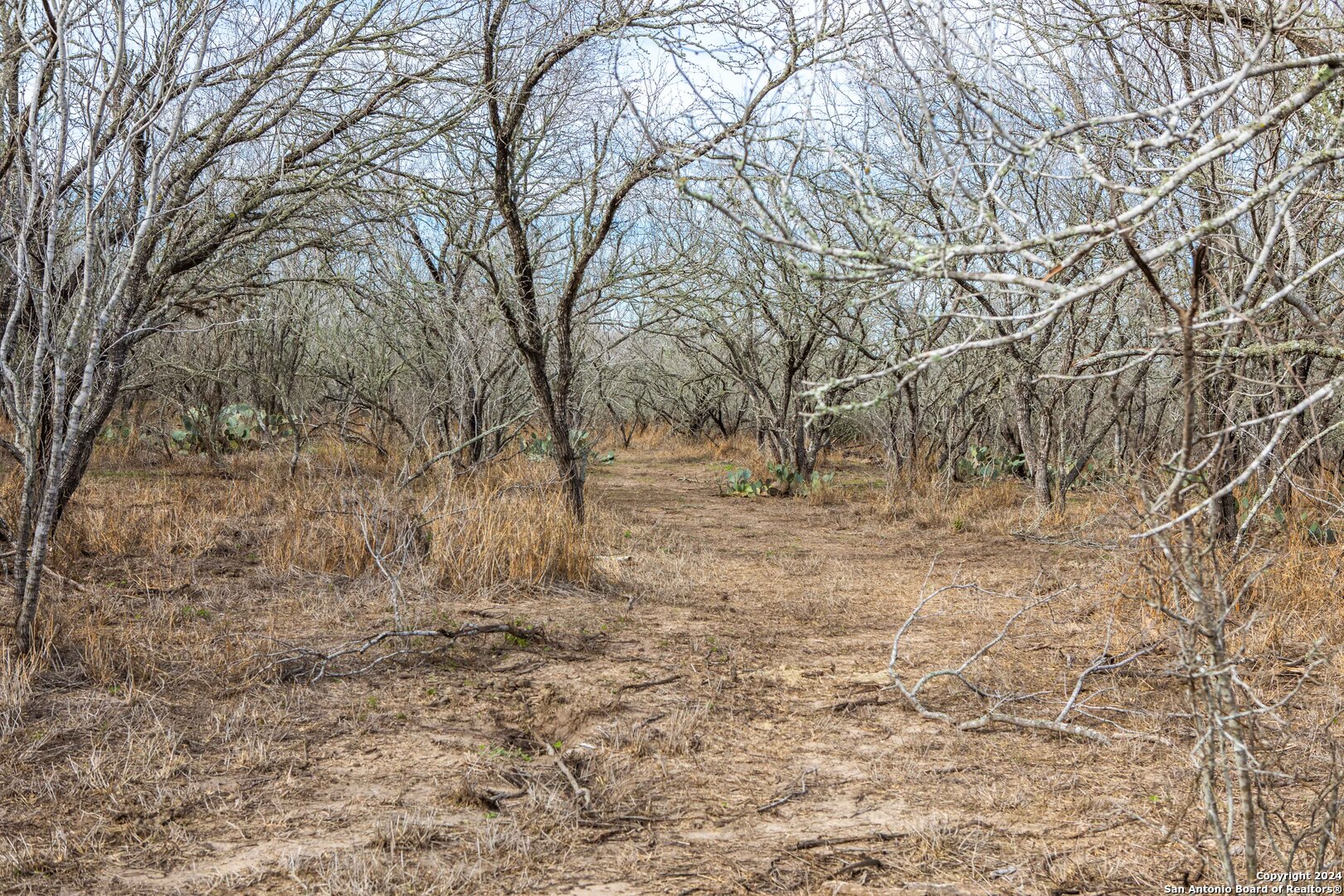 000 Mineral Cemetery Rd