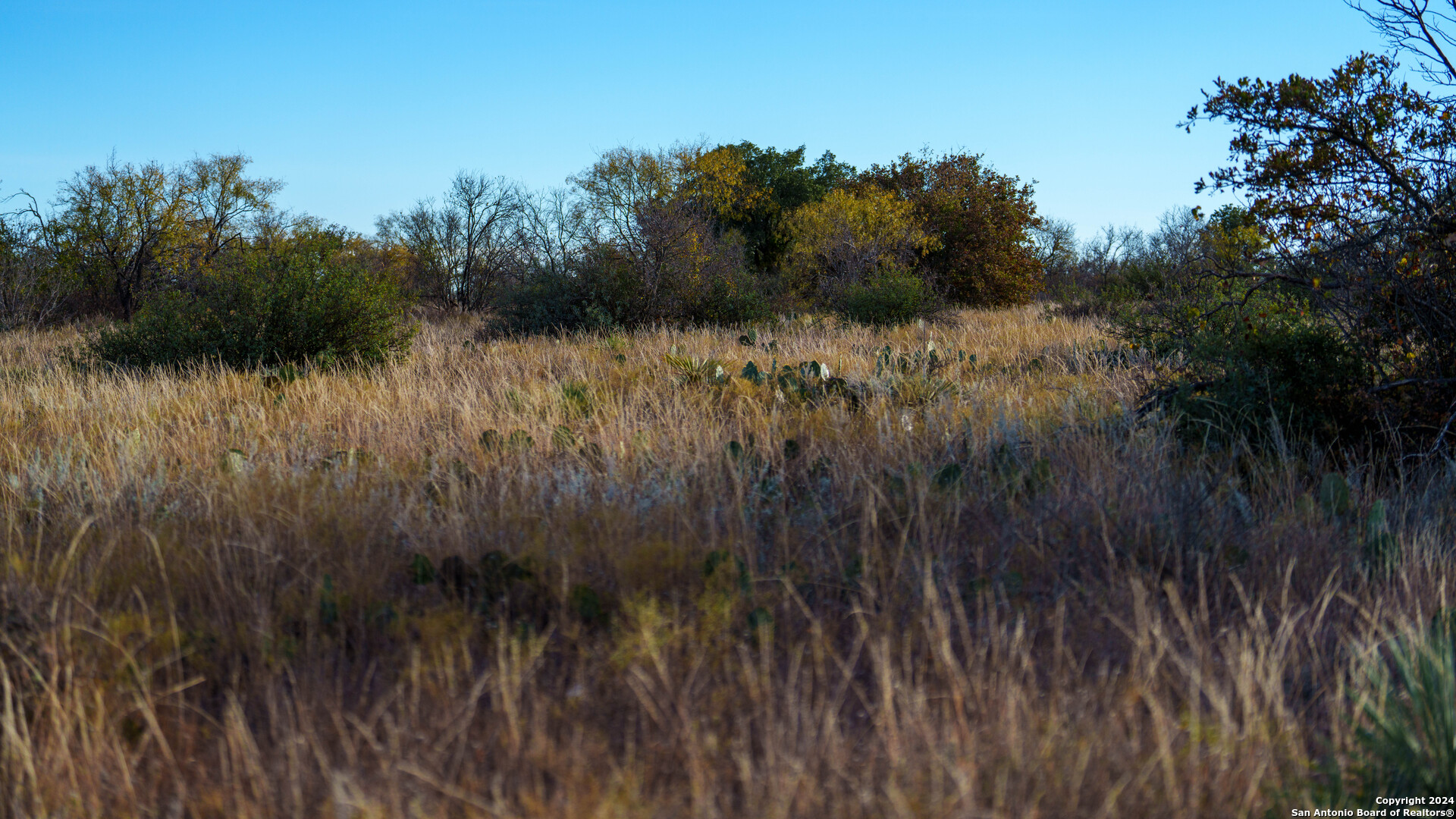 McCulloch County | 141+/- Acres