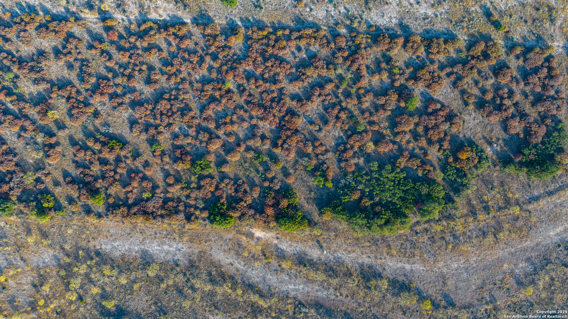 McCulloch County | 141+/- Acres