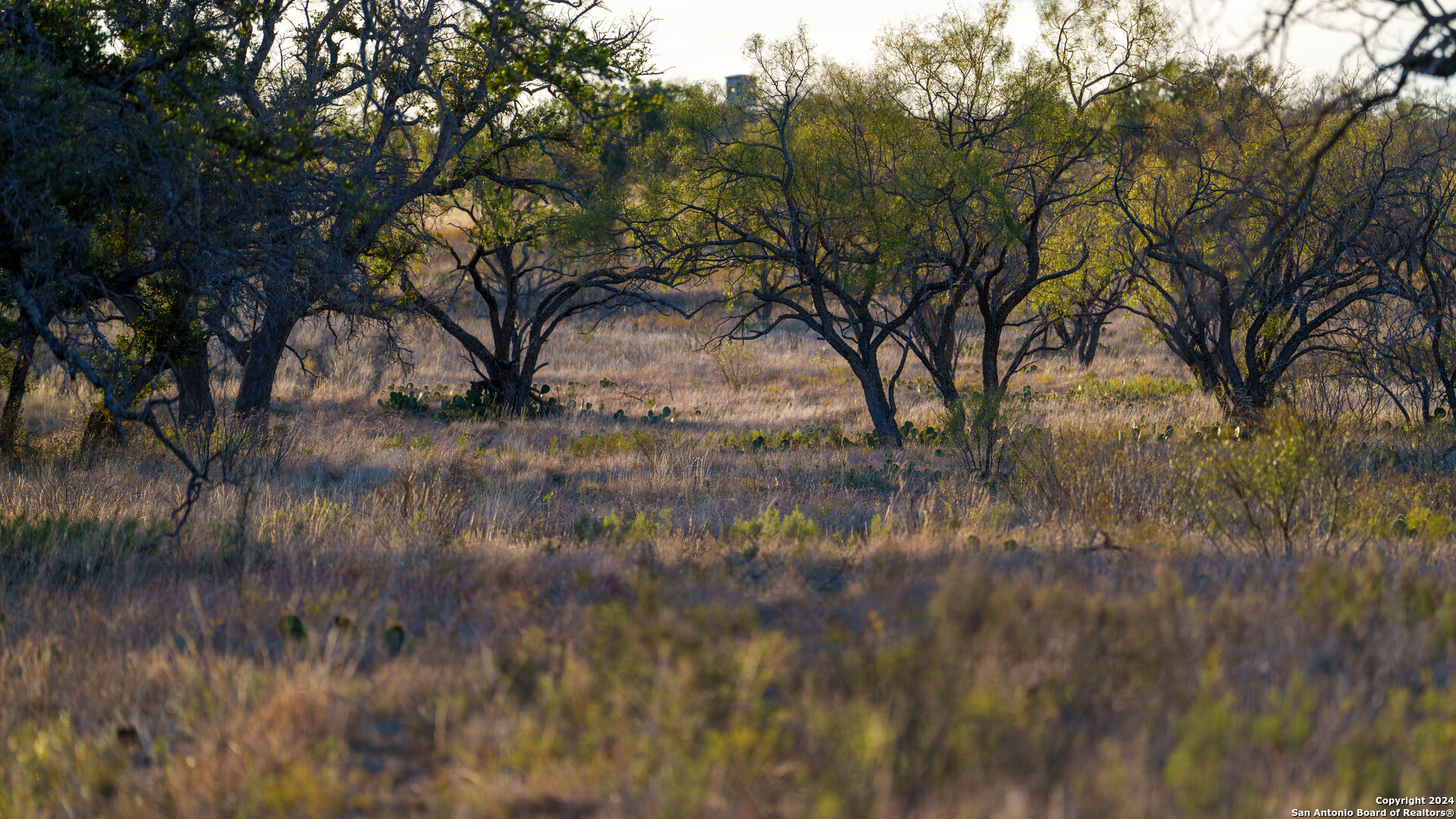 McCulloch County | 141+/- Acres