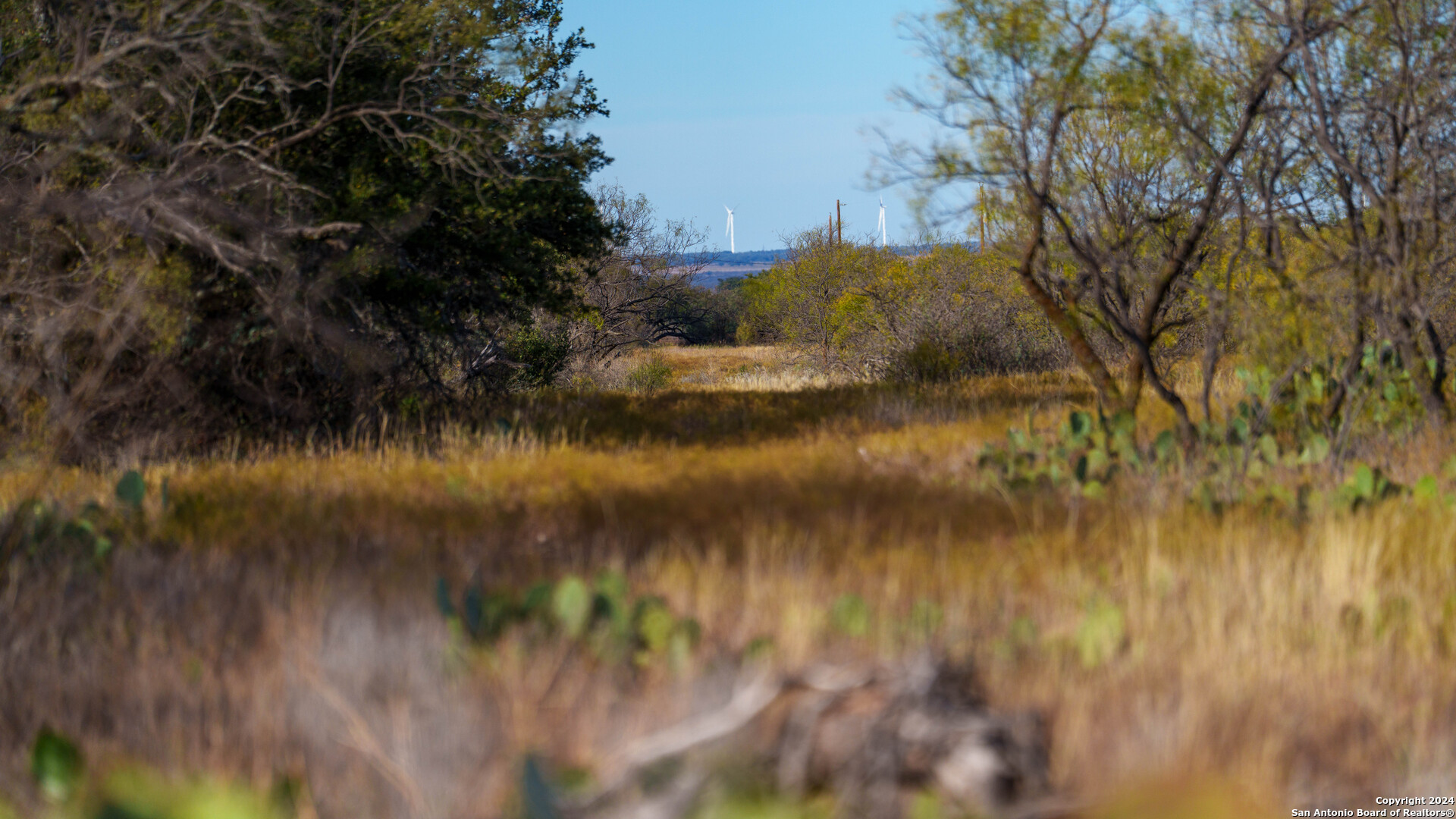 McCulloch County | 141+/- Acres