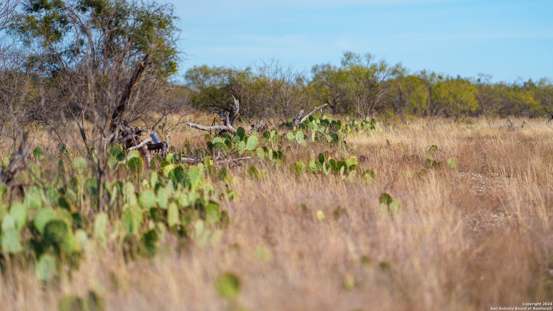 McCulloch County | 141+/- Acres