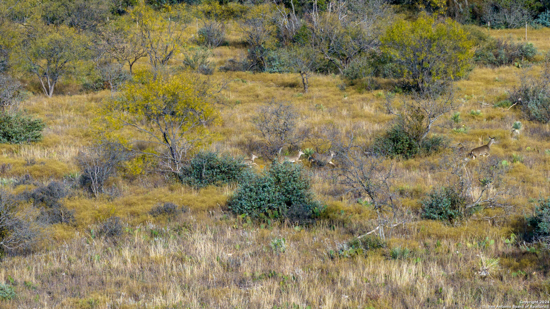 McCulloch County | 141+/- Acres