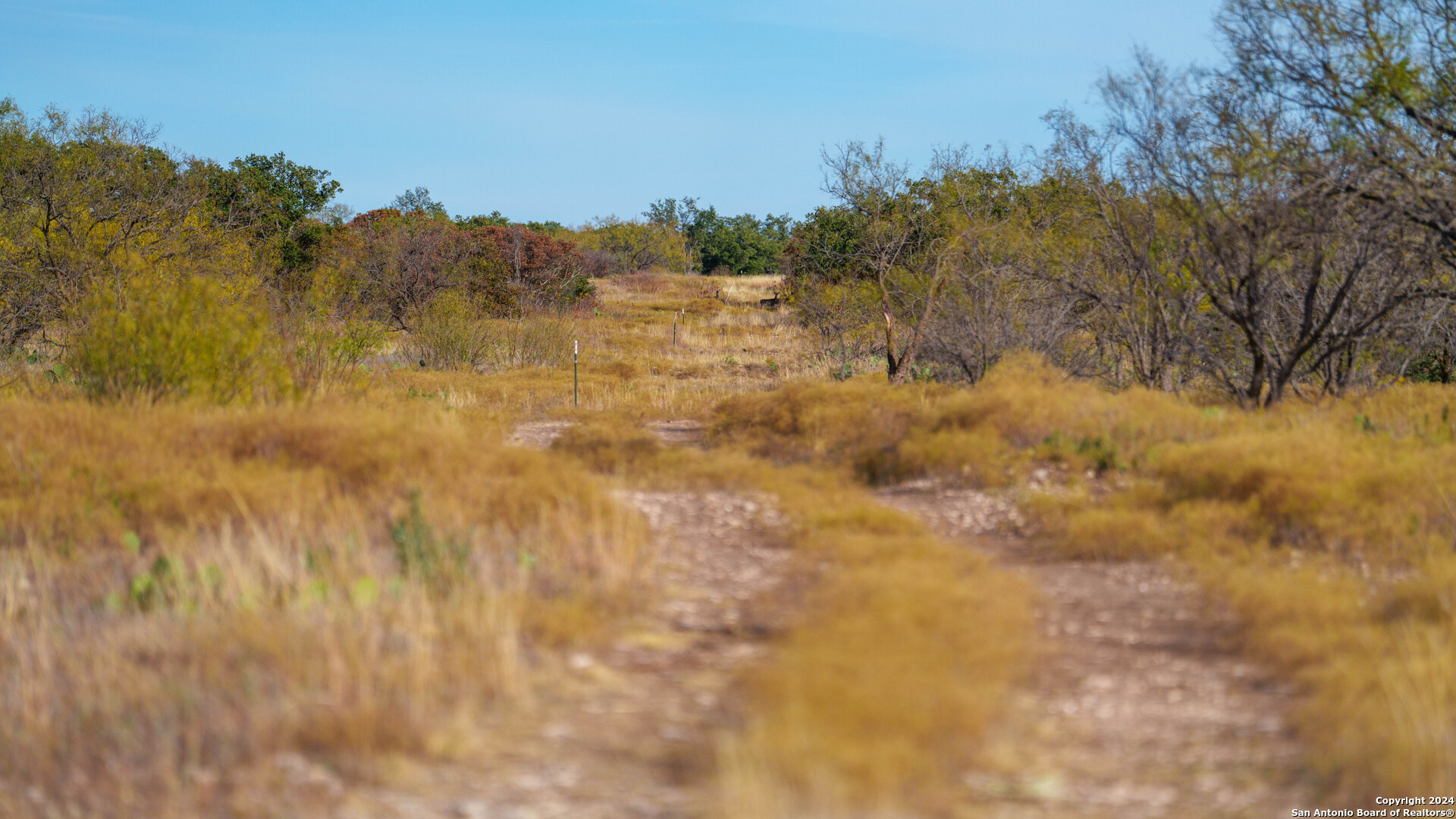McCulloch County | 141+/- Acres