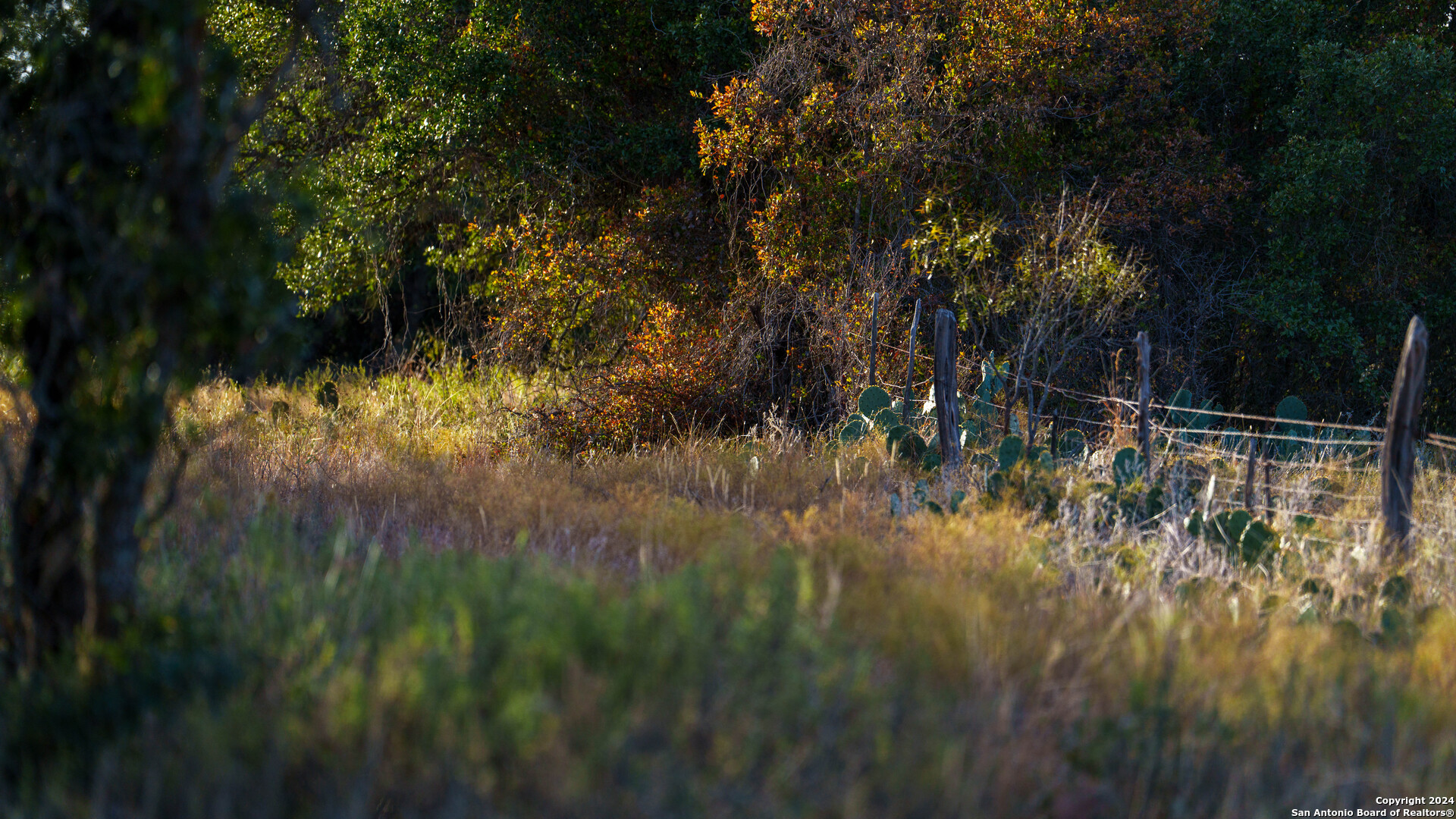 McCulloch County | 141+/- Acres