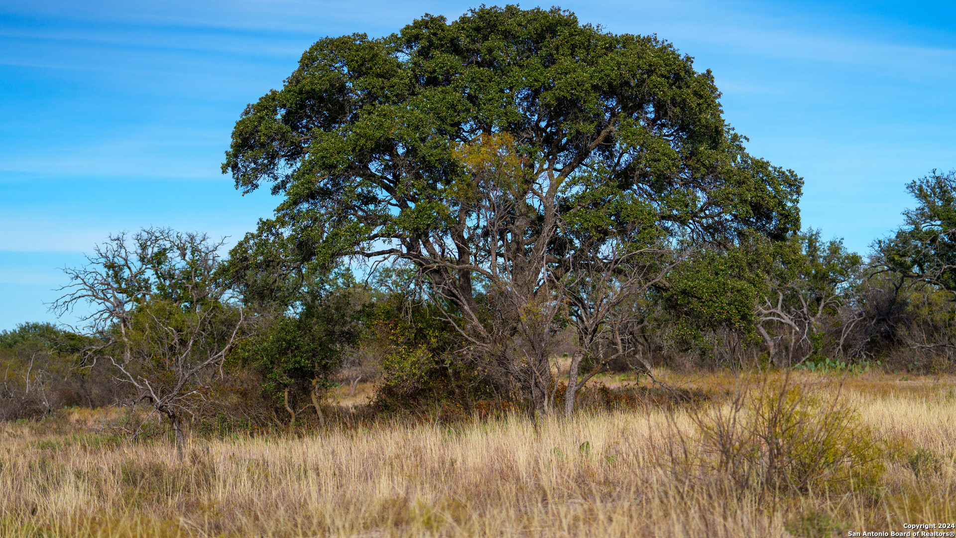 McCulloch County | 141+/- Acres