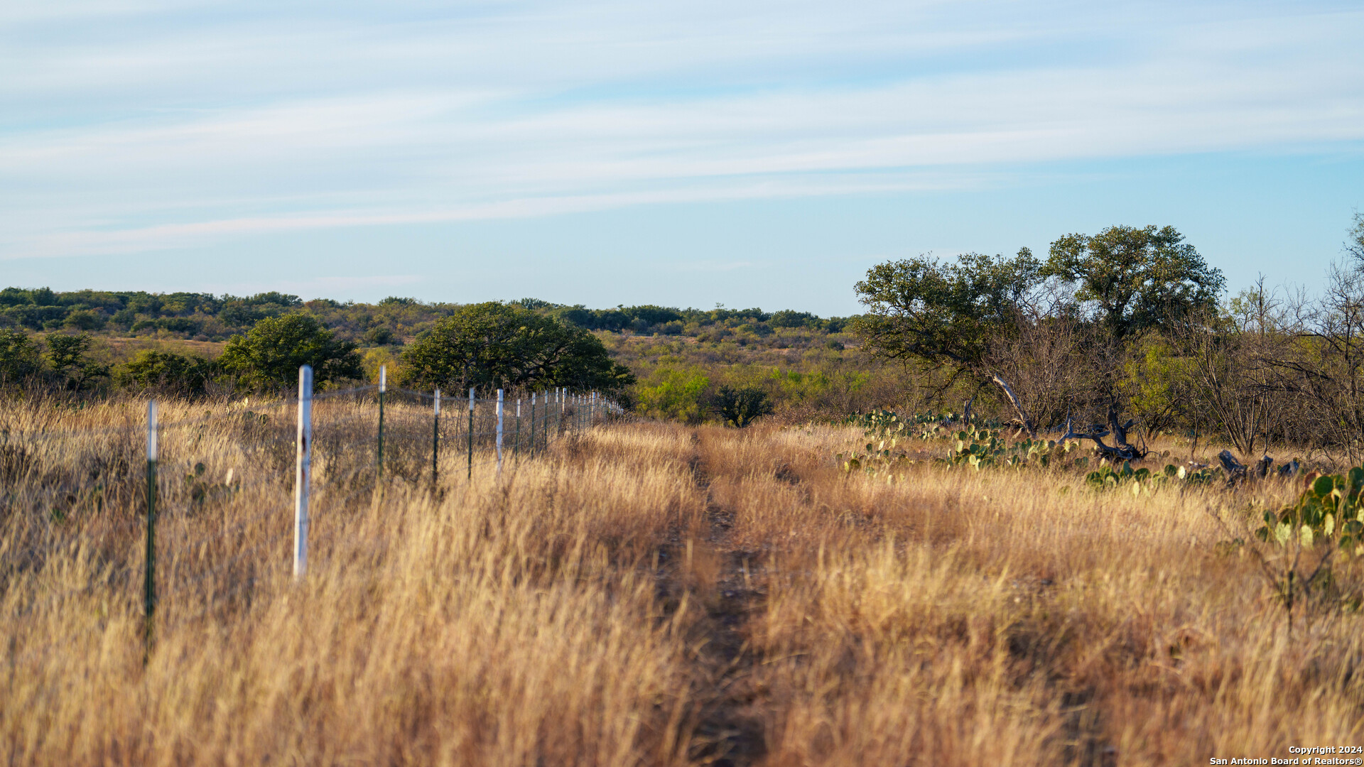 McCulloch County | 141+/- Acres