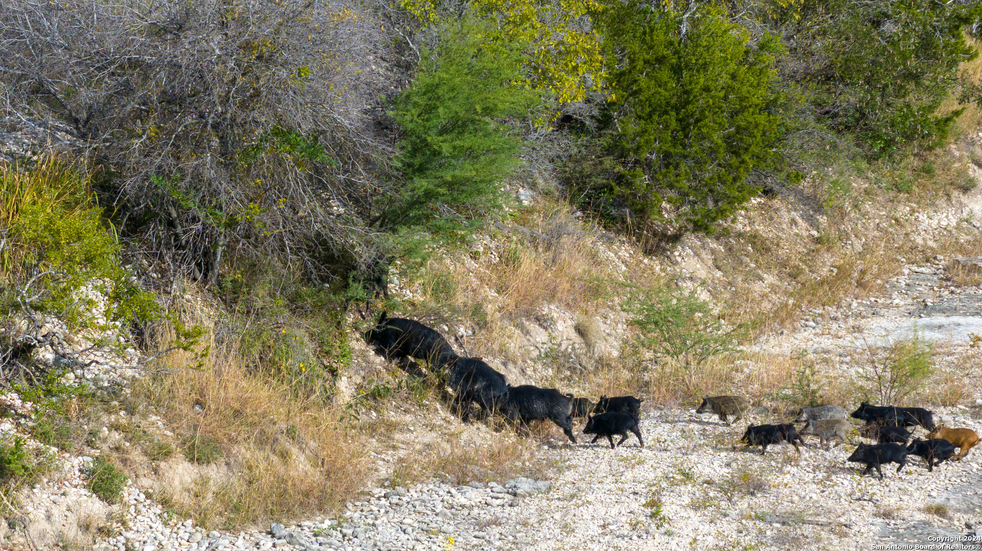 McCulloch County | 141+/- Acres