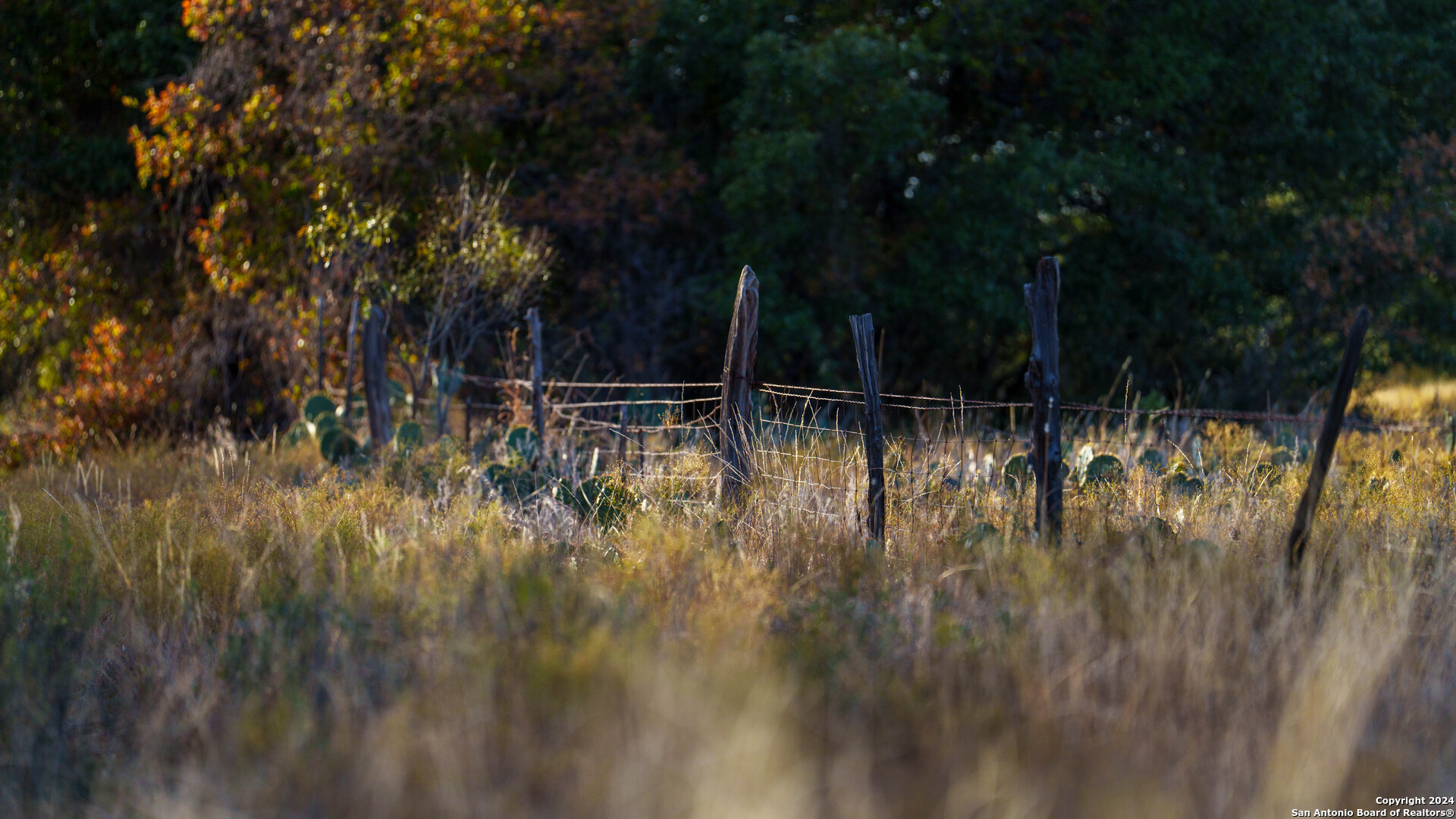 McCulloch County | 141+/- Acres