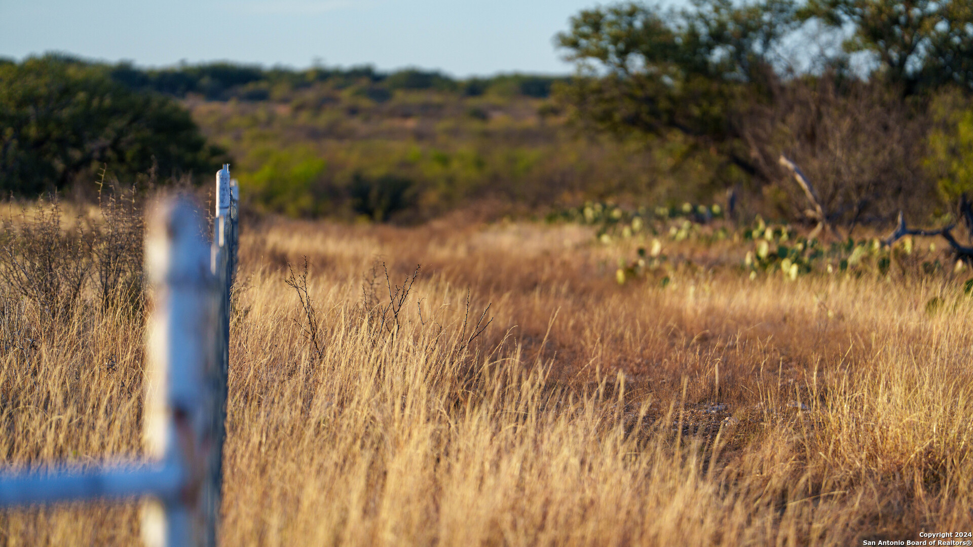 McCulloch County | 141+/- Acres