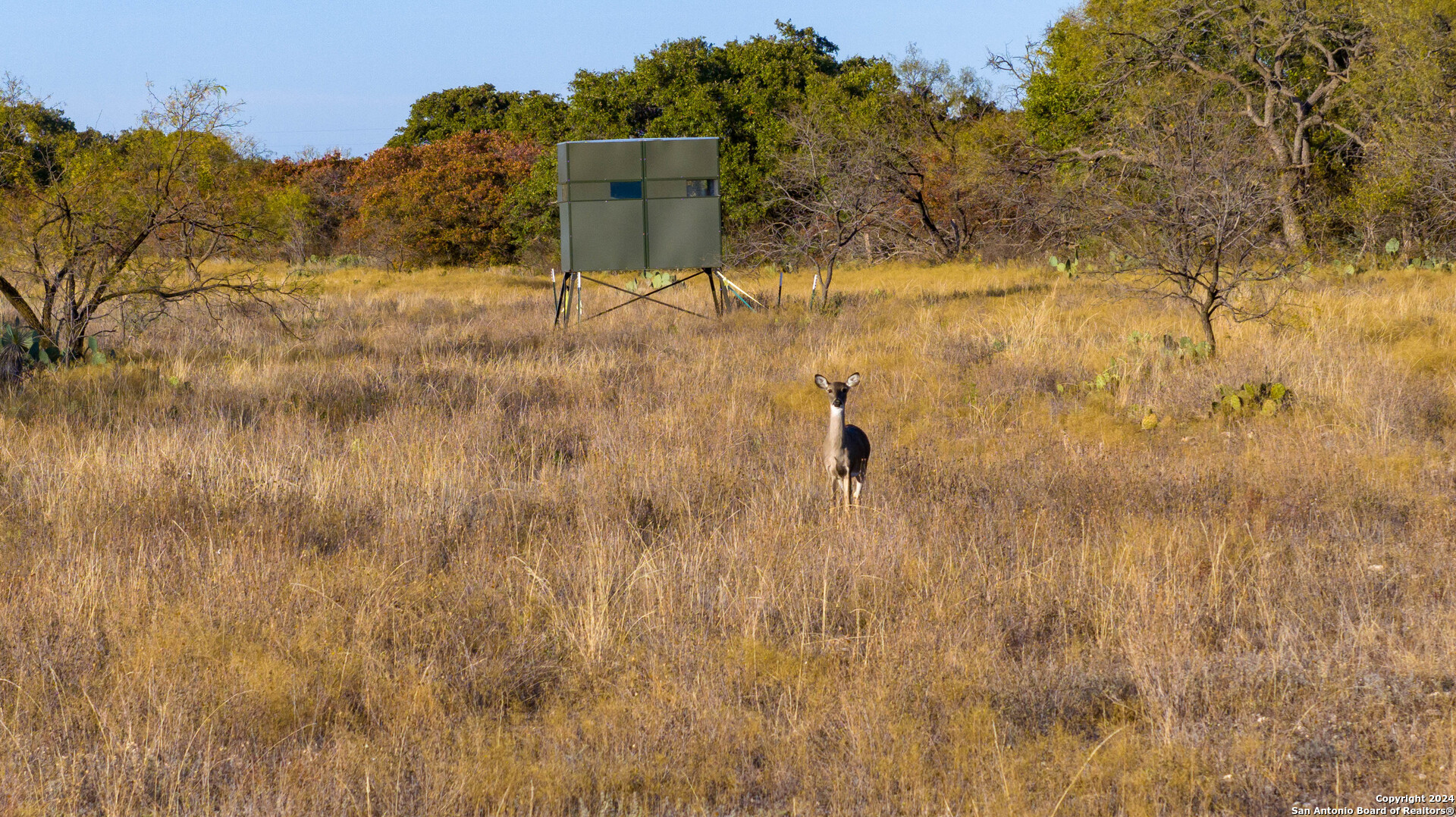 McCulloch County | 141+/- Acres