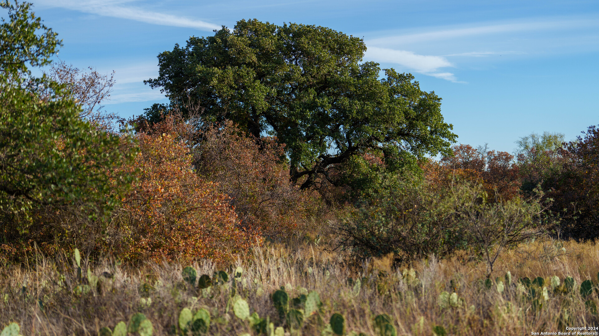 McCulloch County | 141+/- Acres
