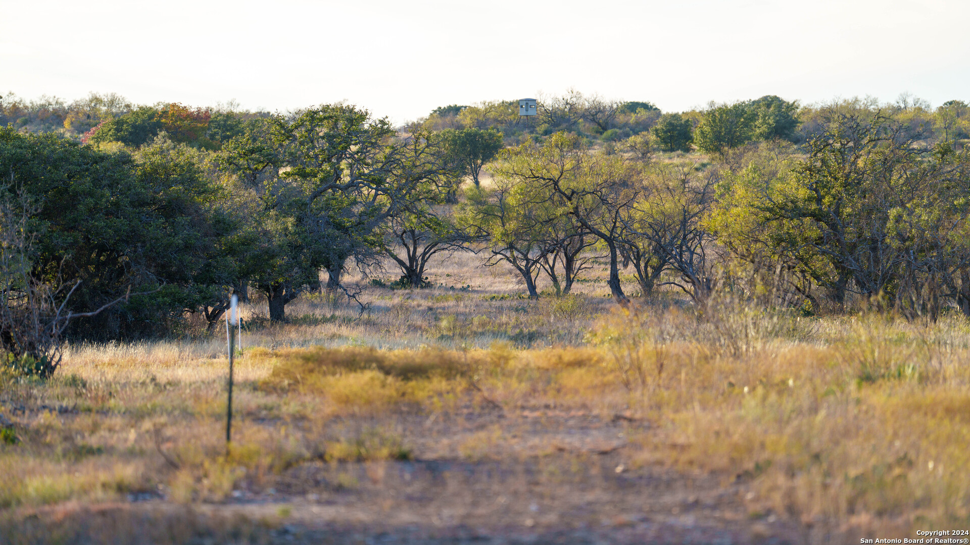 McCulloch County | 141+/- Acres
