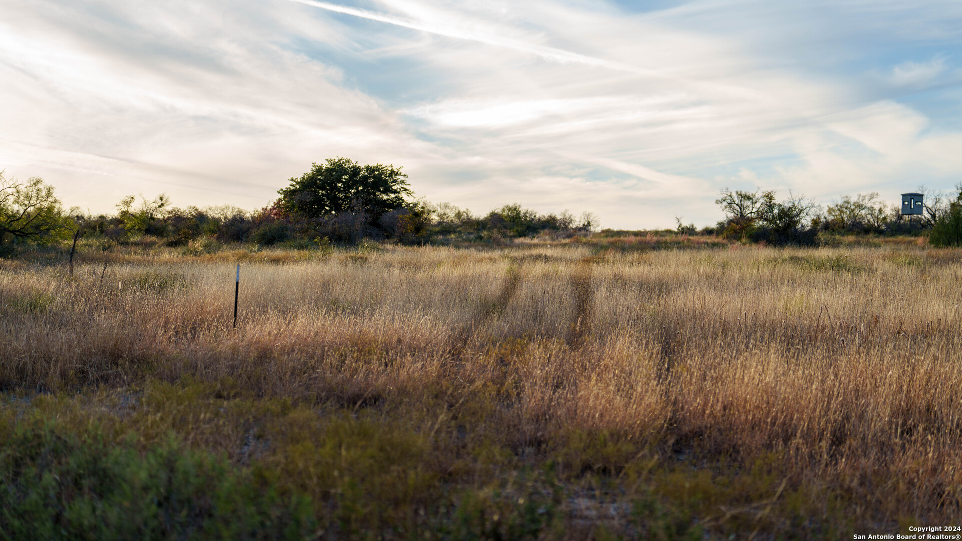 McCulloch County | 141+/- Acres