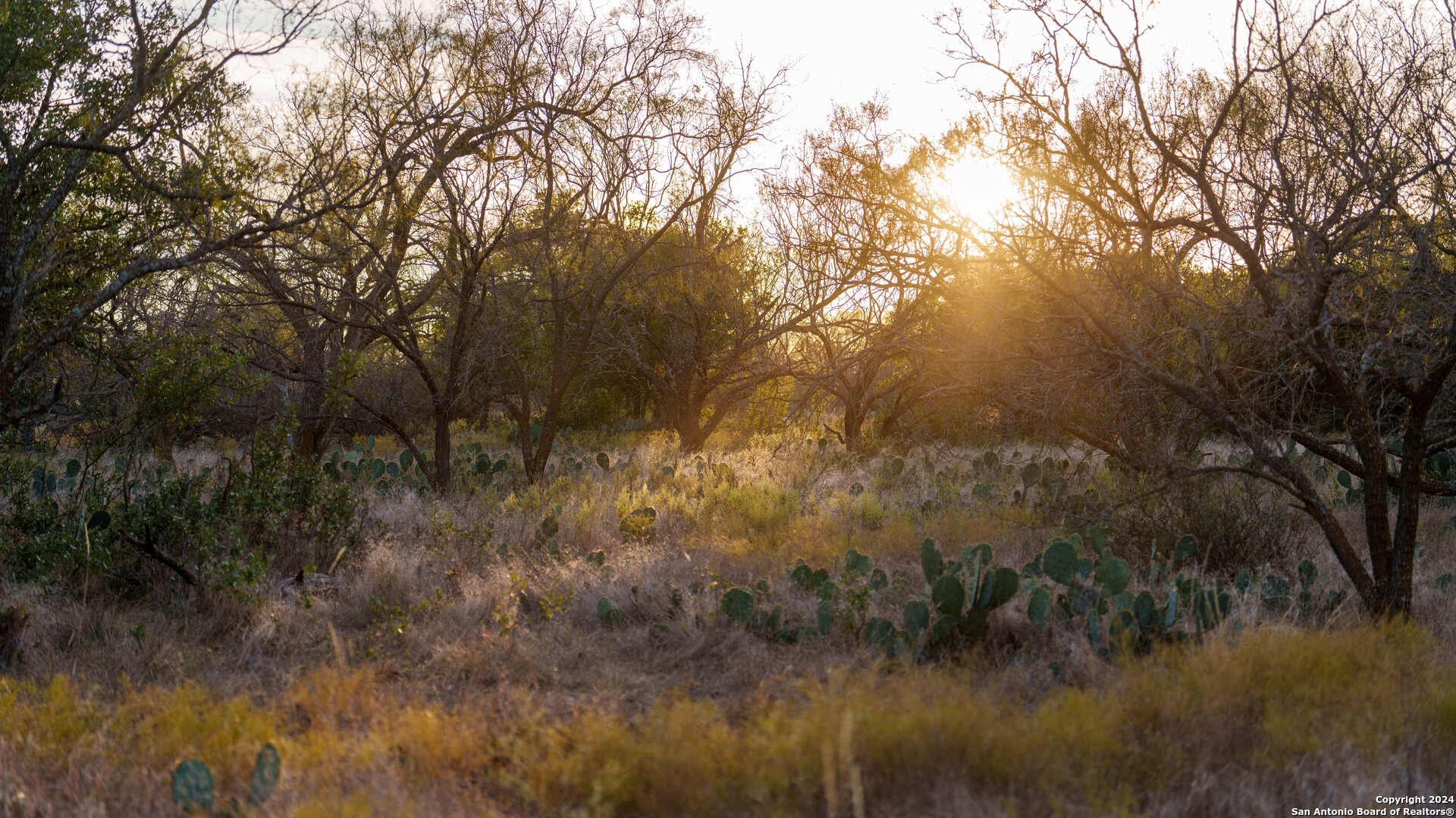 McCulloch County | 141+/- Acres