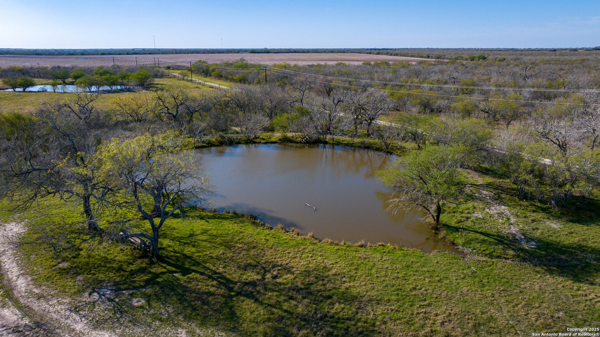 Karnes County | 175+/- Acres