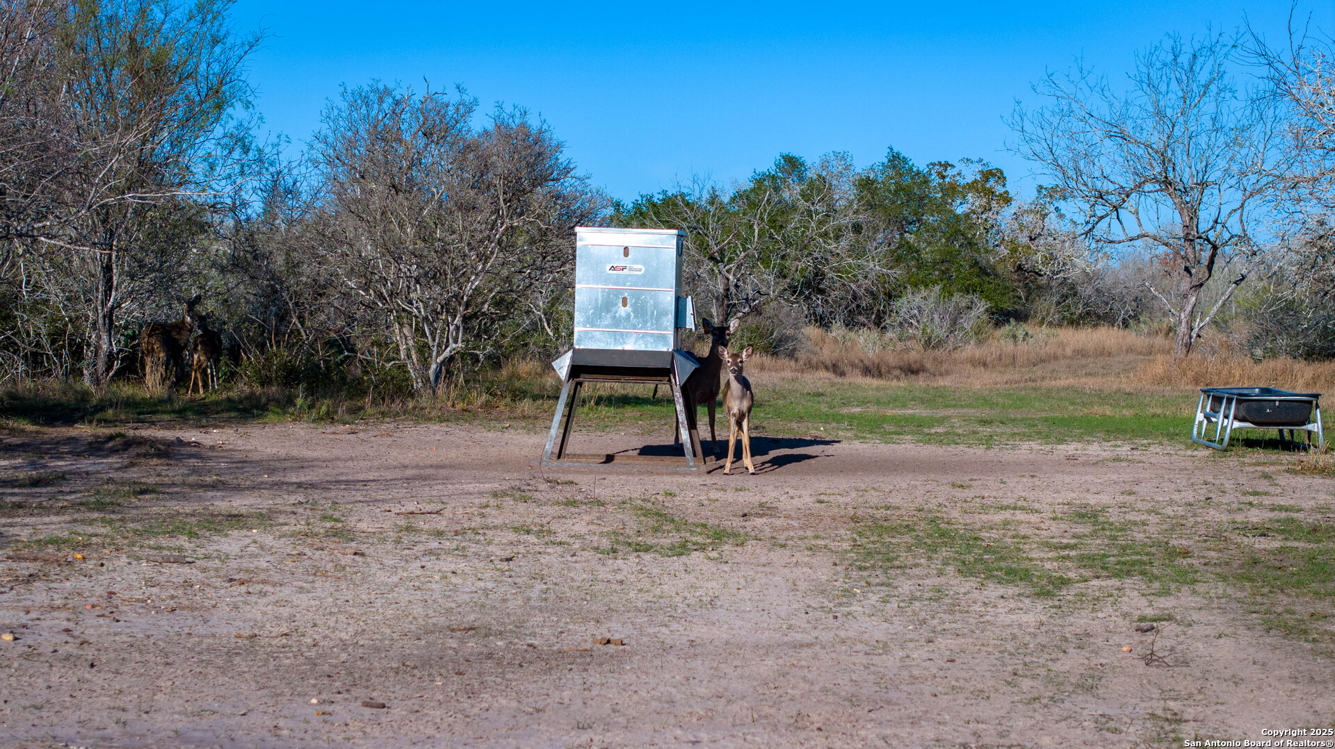 Karnes County | 175+/- Acres