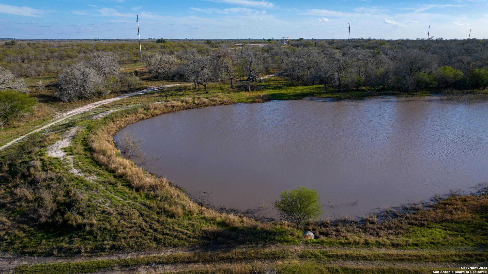 Karnes County | 175+/- Acres