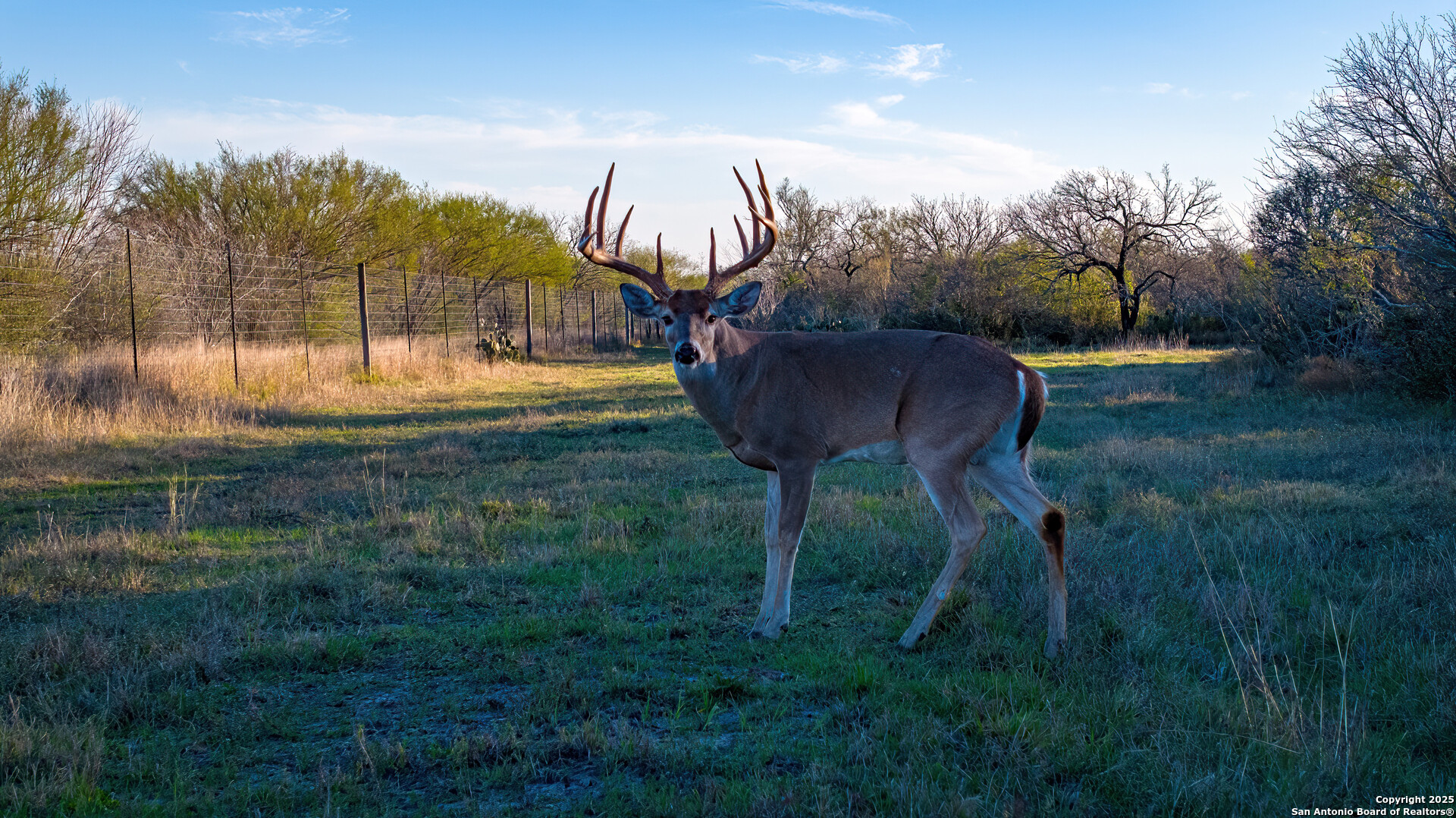 Karnes County | 175+/- Acres