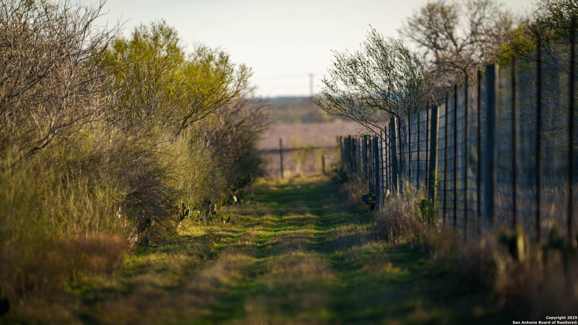 Karnes County | 175+/- Acres