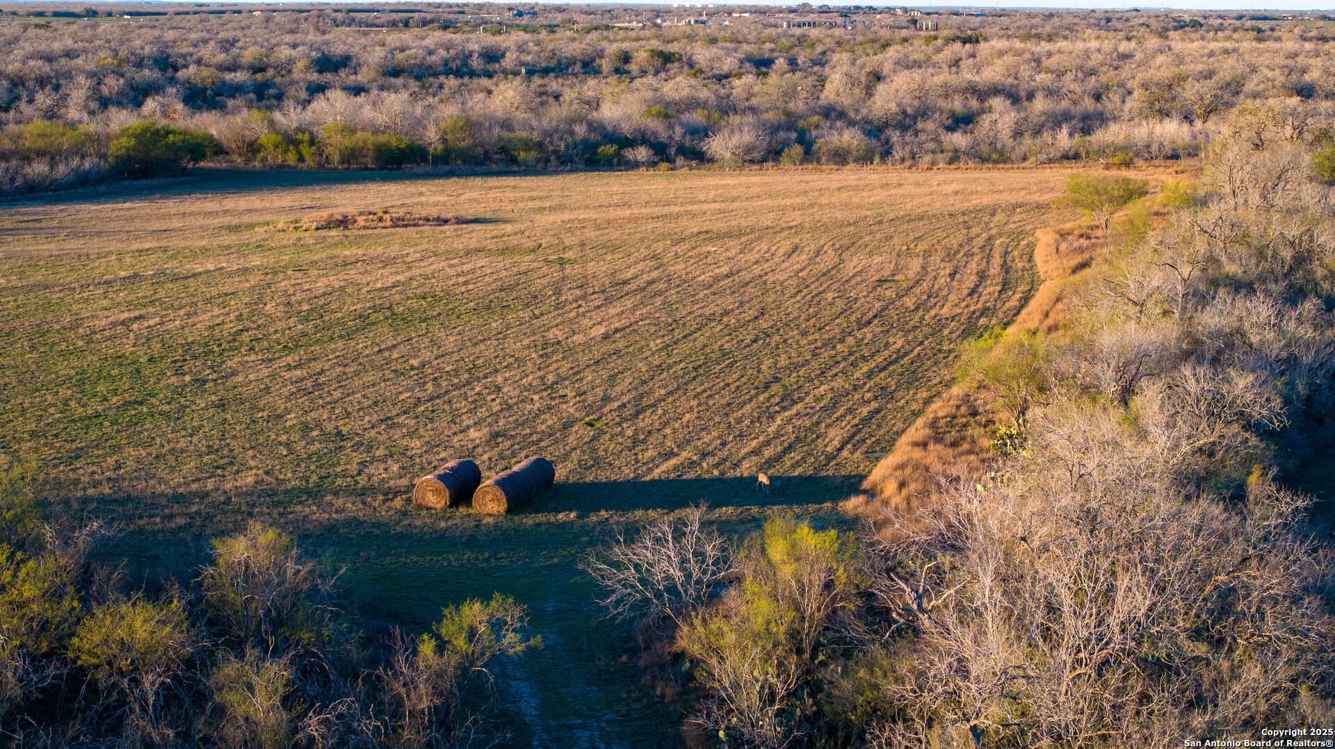 Karnes County | 175+/- Acres
